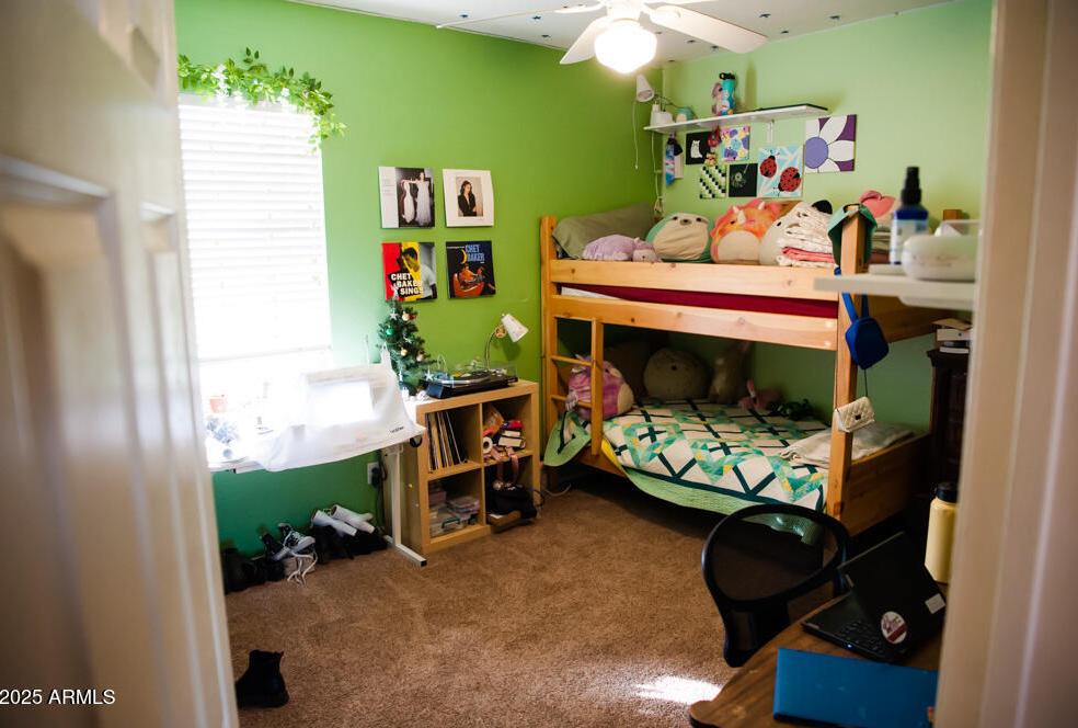 Photo #14