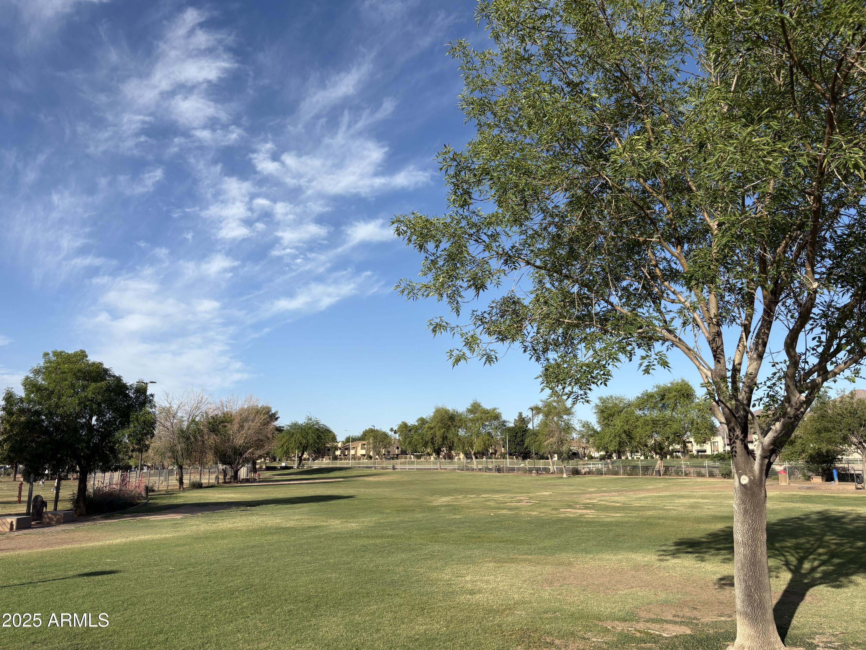 Photo #39