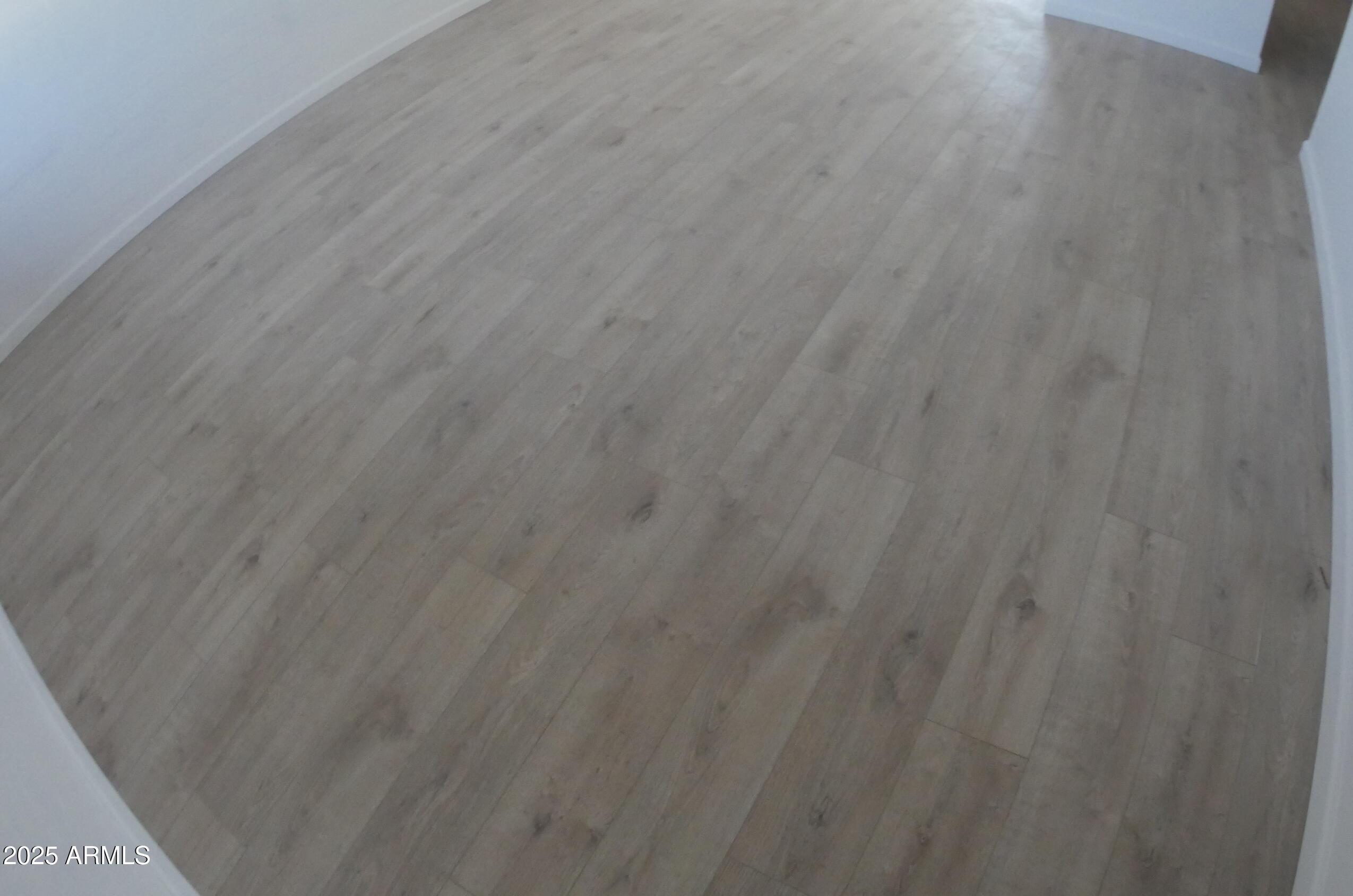 Photo #12