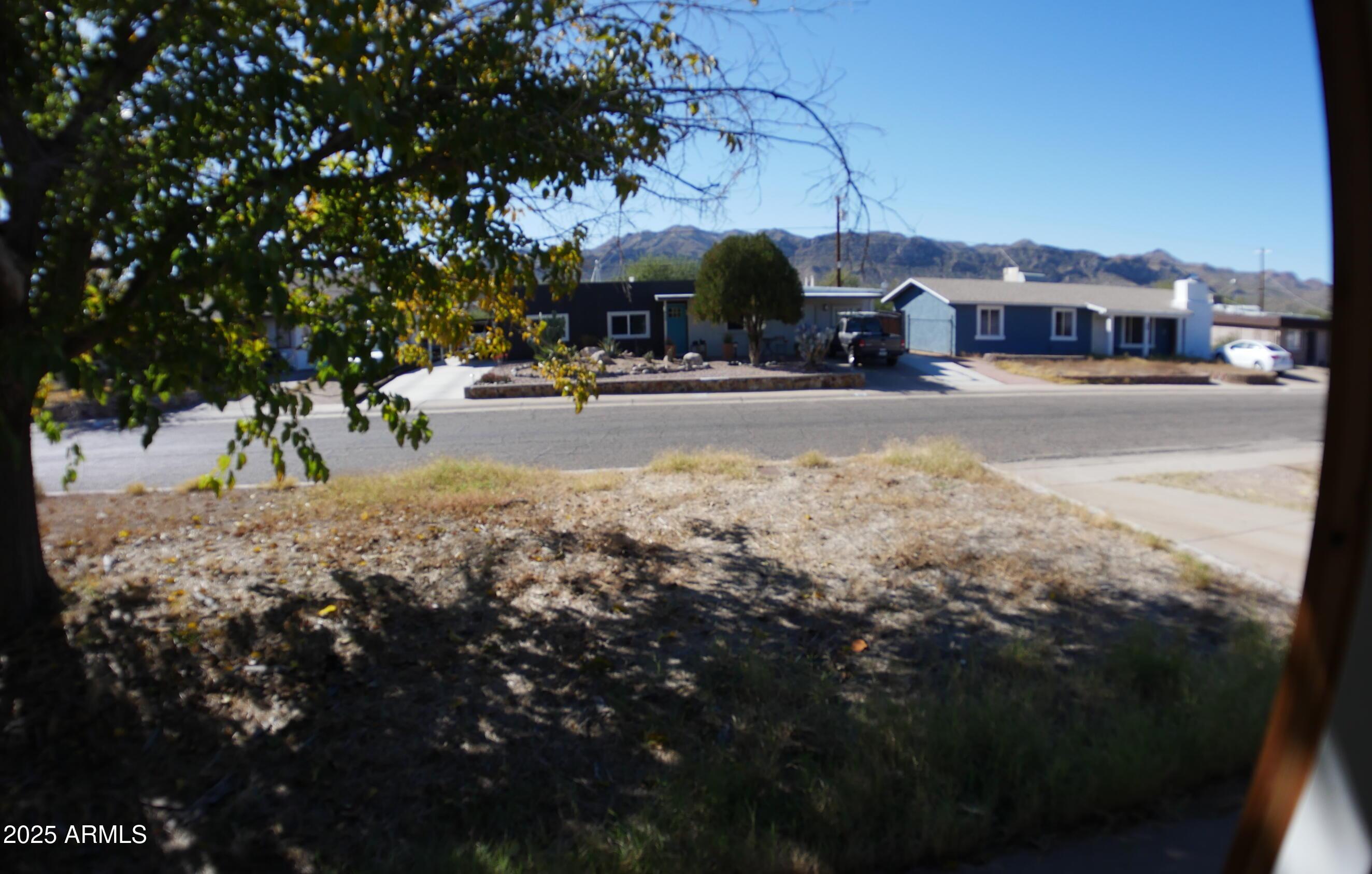 Photo #14