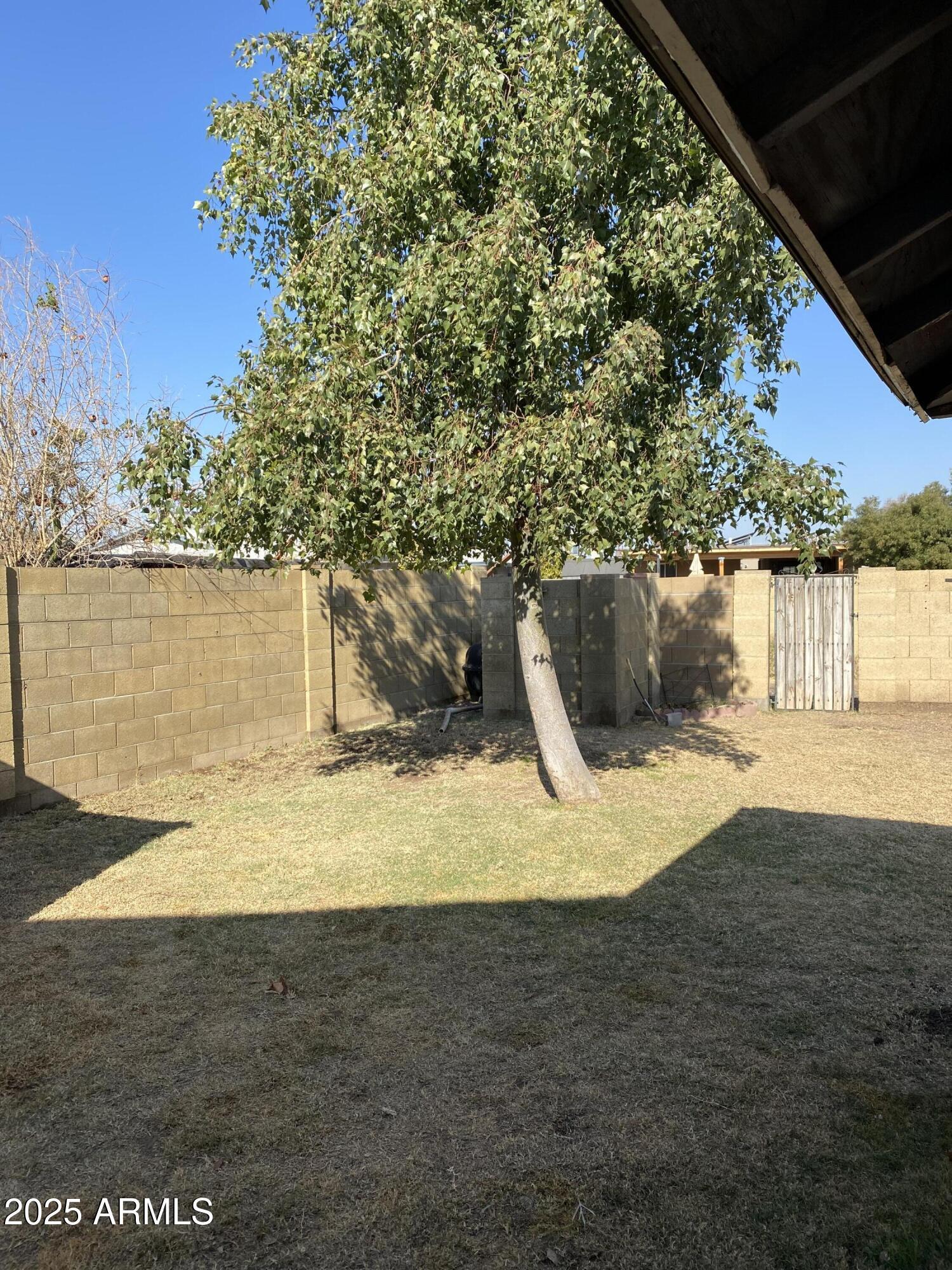Photo #32