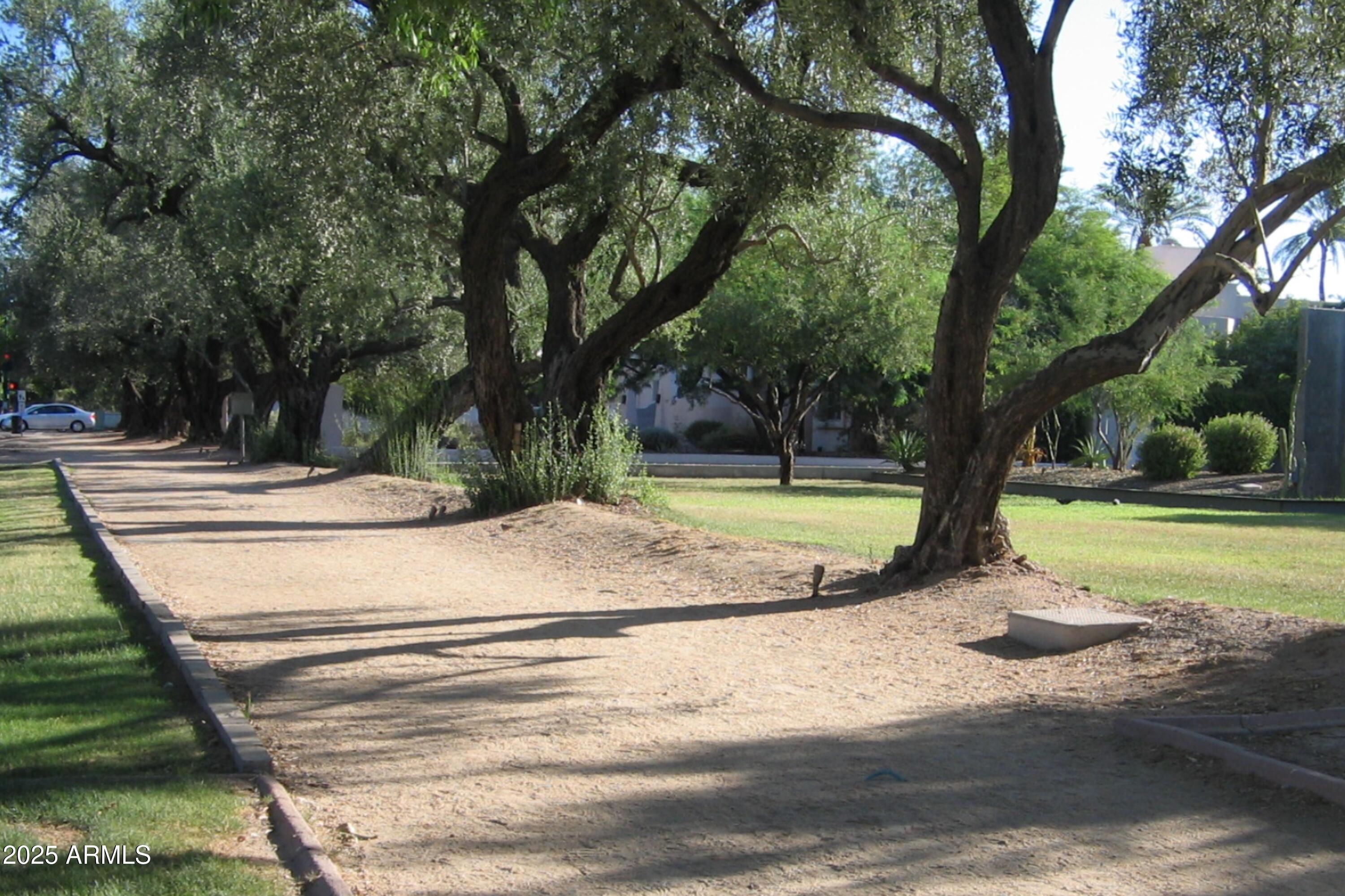 Photo #41