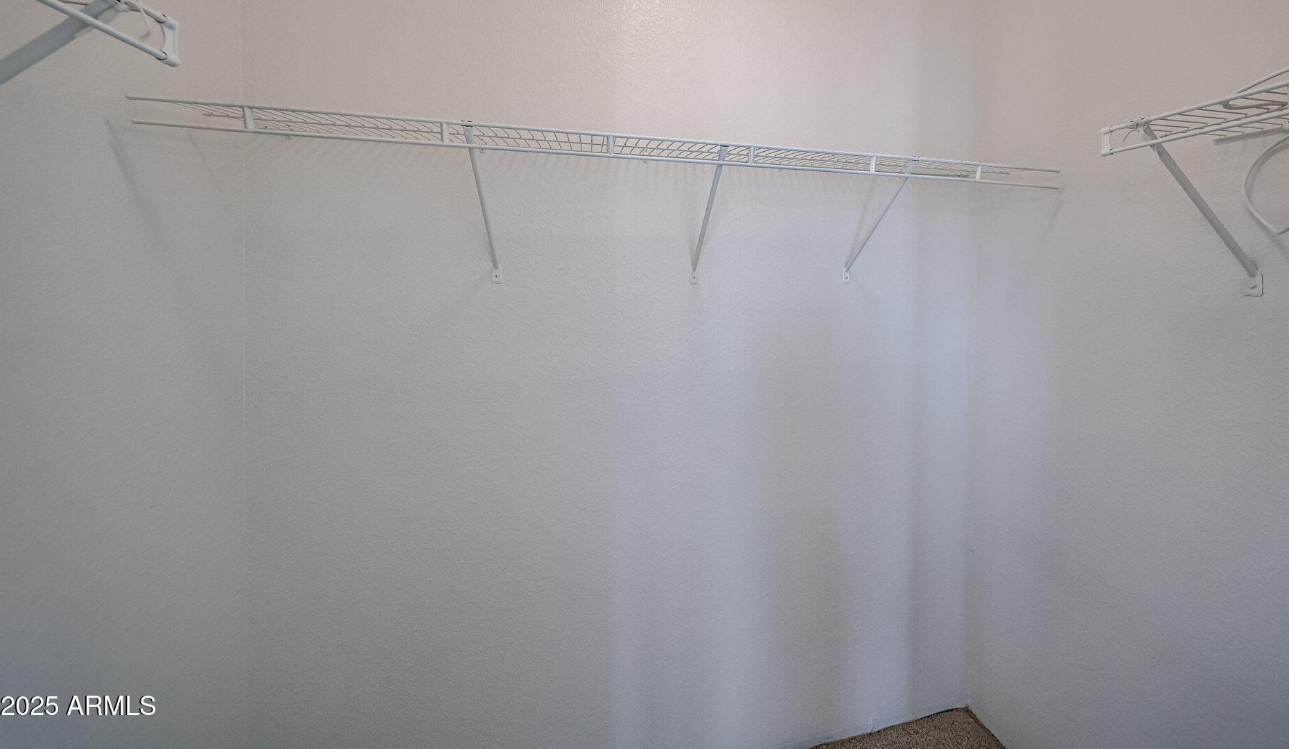 Photo #24