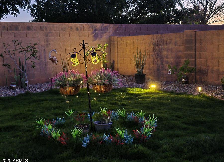Photo #42