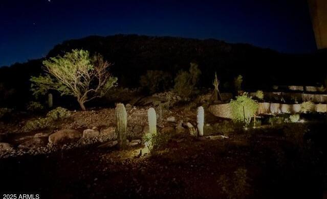 Photo #17