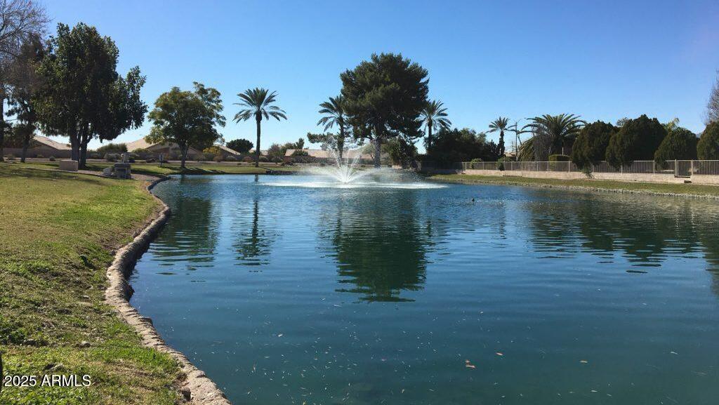 Photo #24