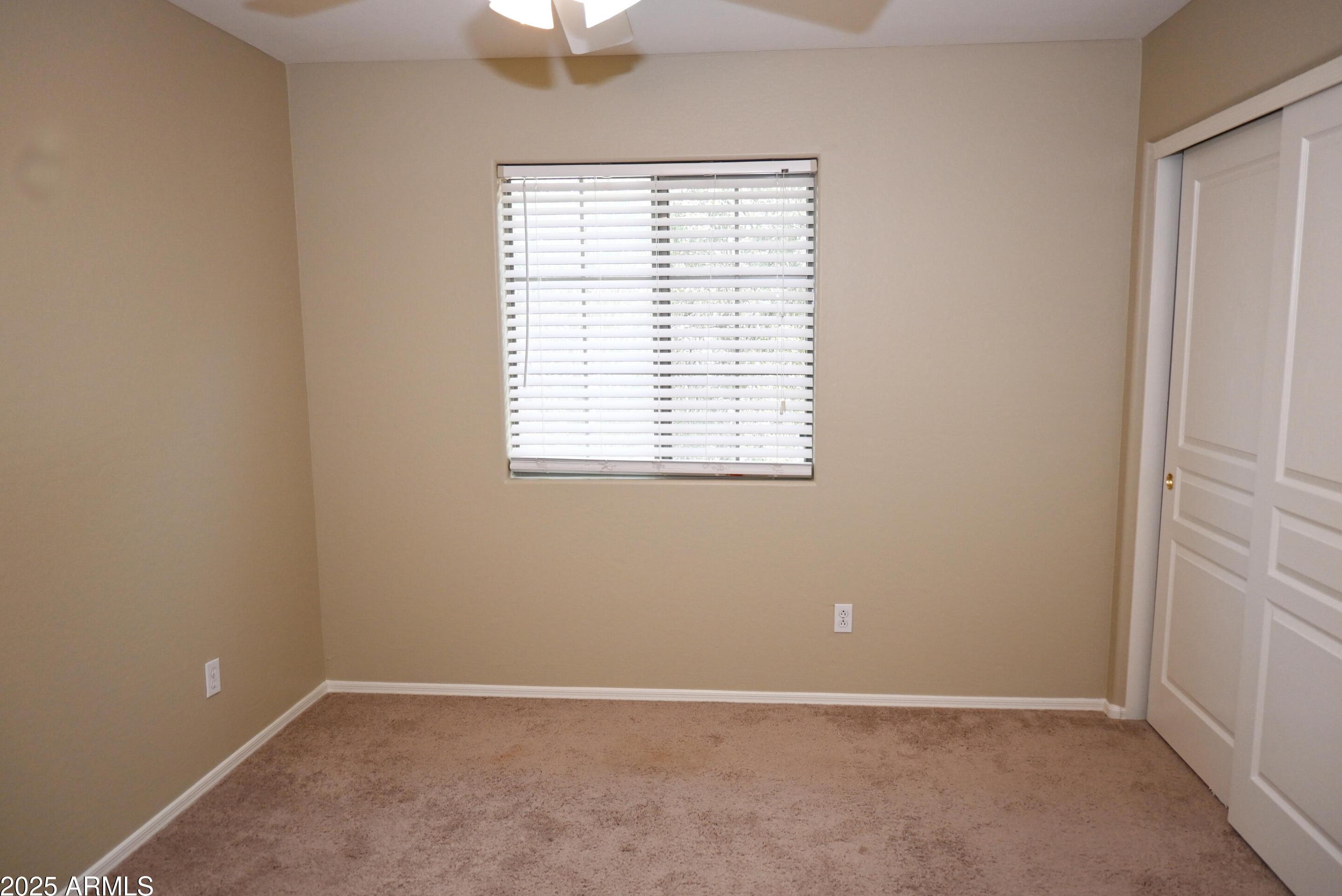 Photo #38