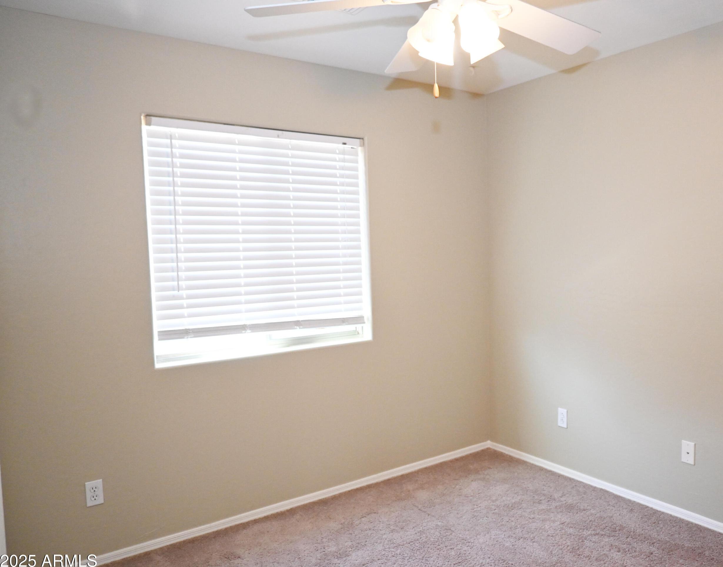 Photo #35