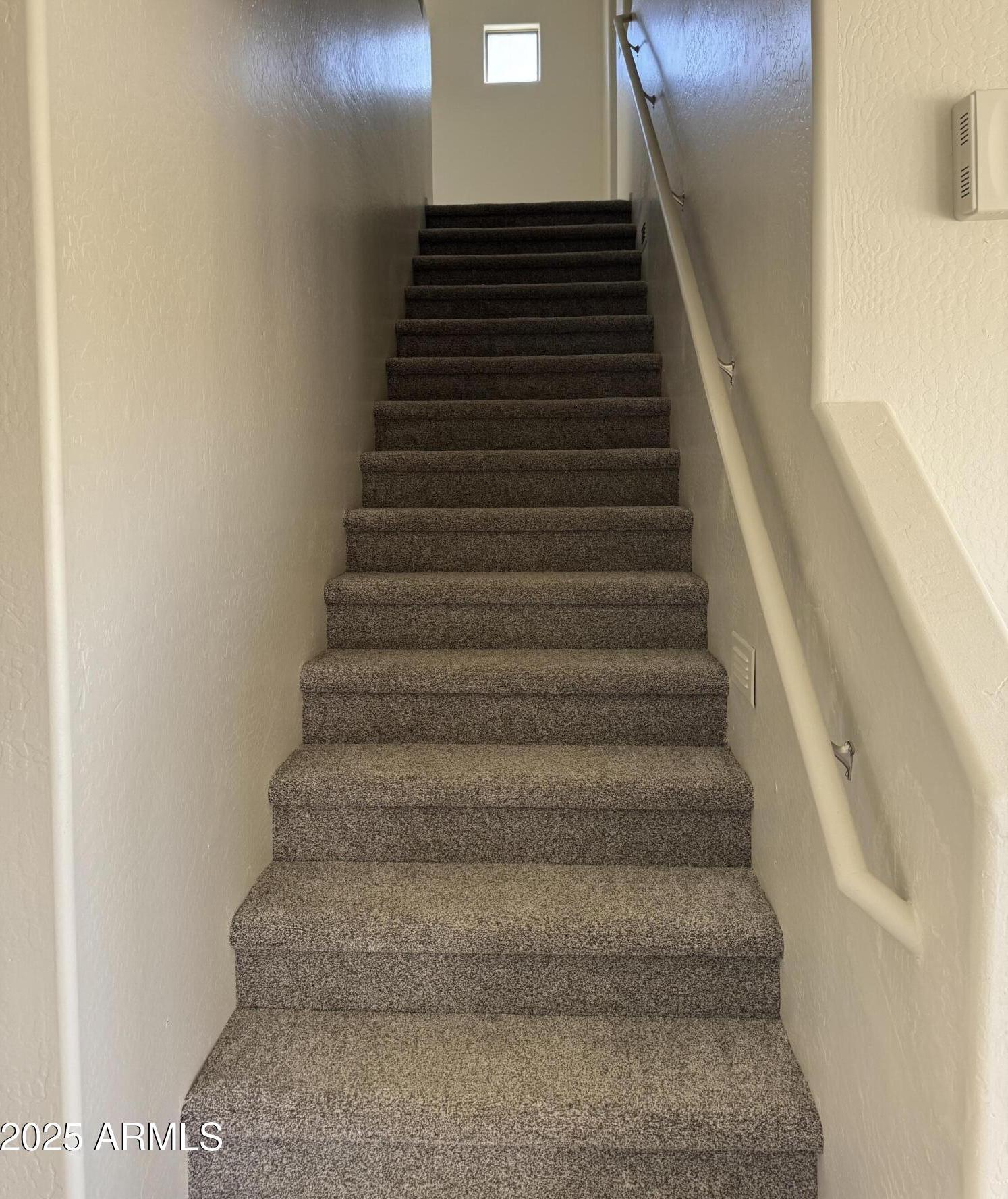 Photo #21