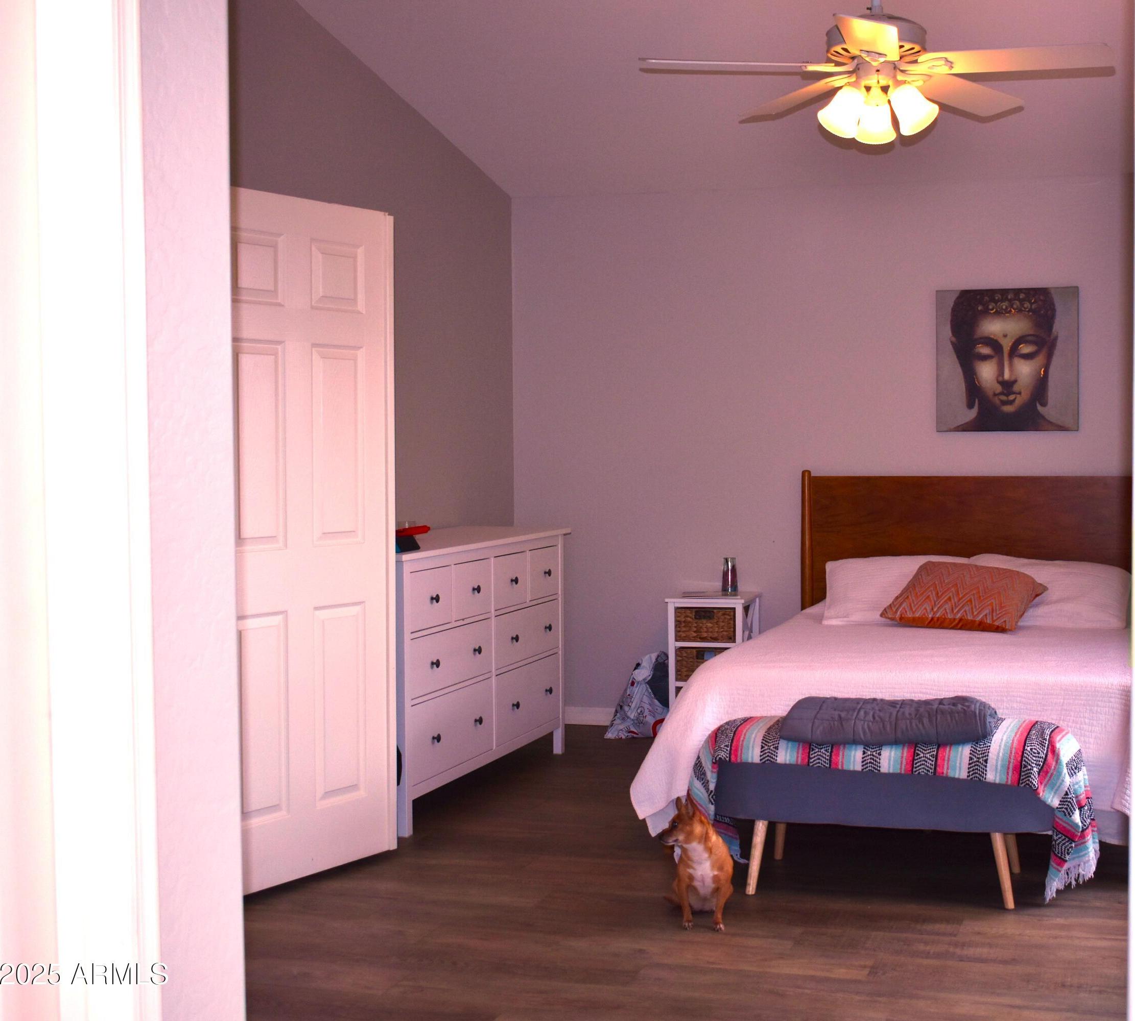 Photo #22