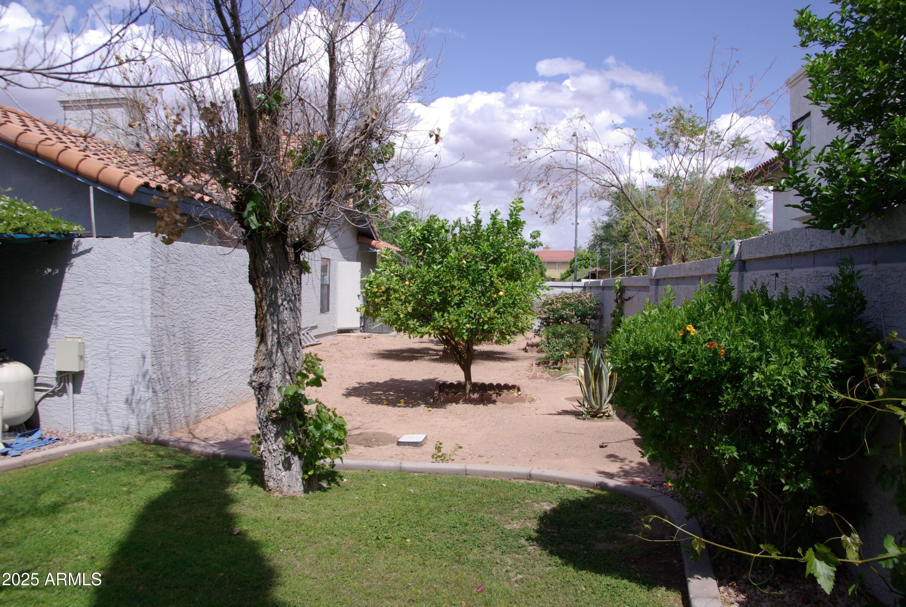 Photo #27