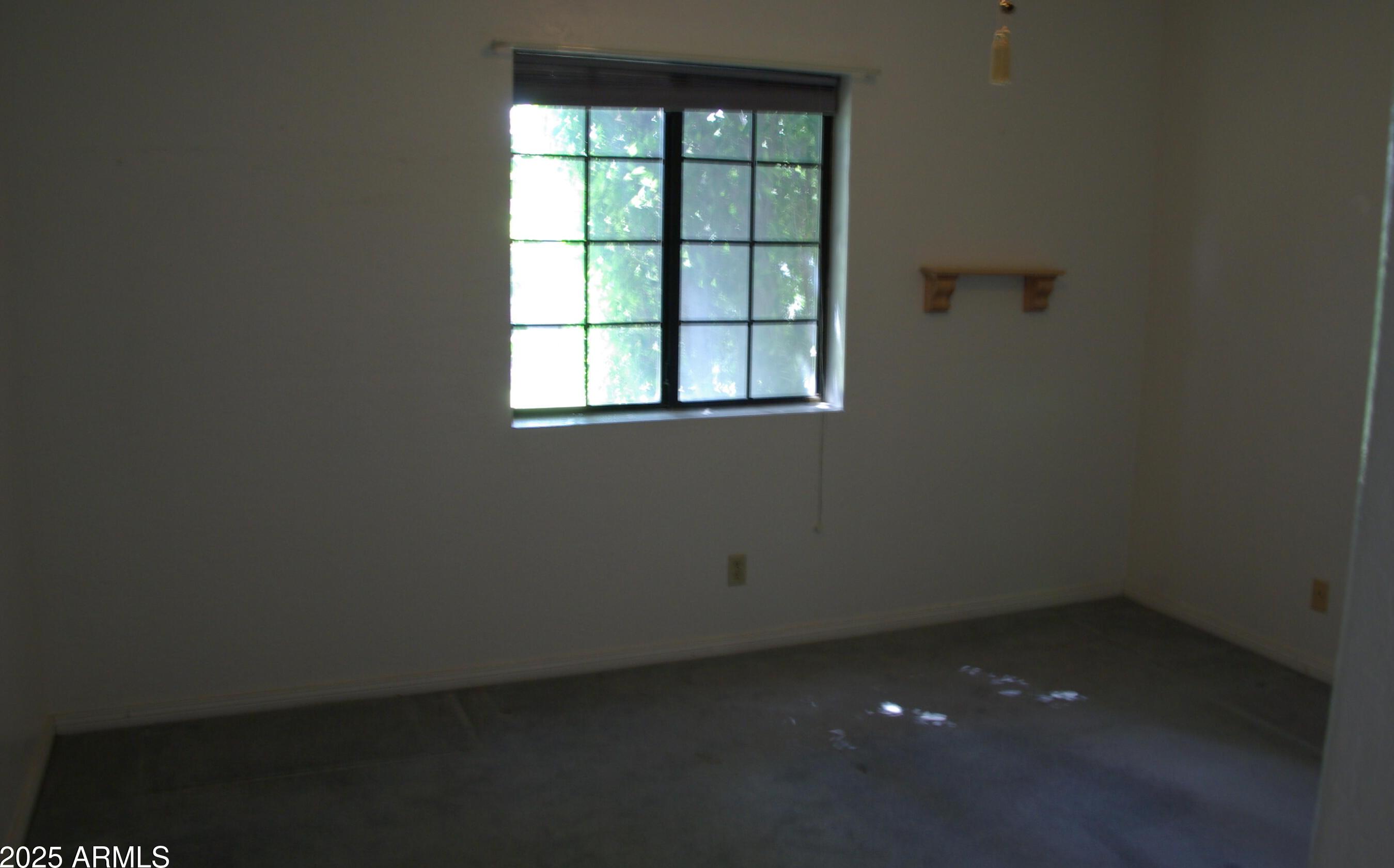 Photo #17