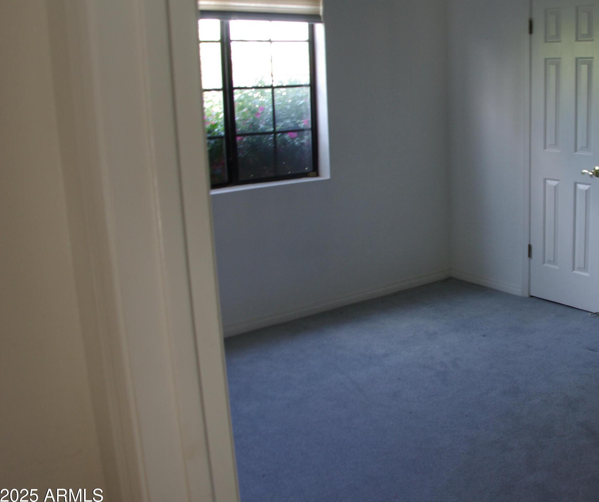 Photo #15
