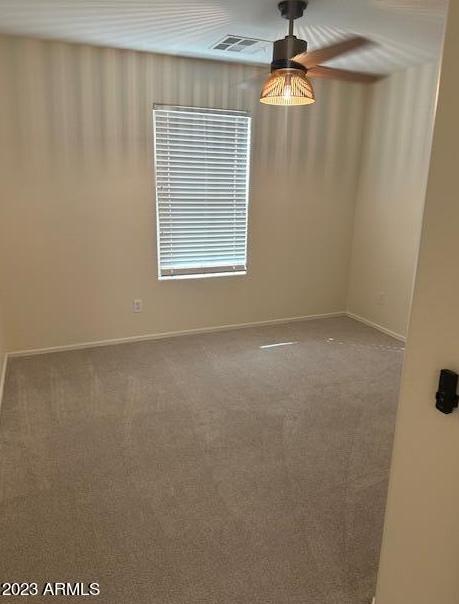 Photo #13