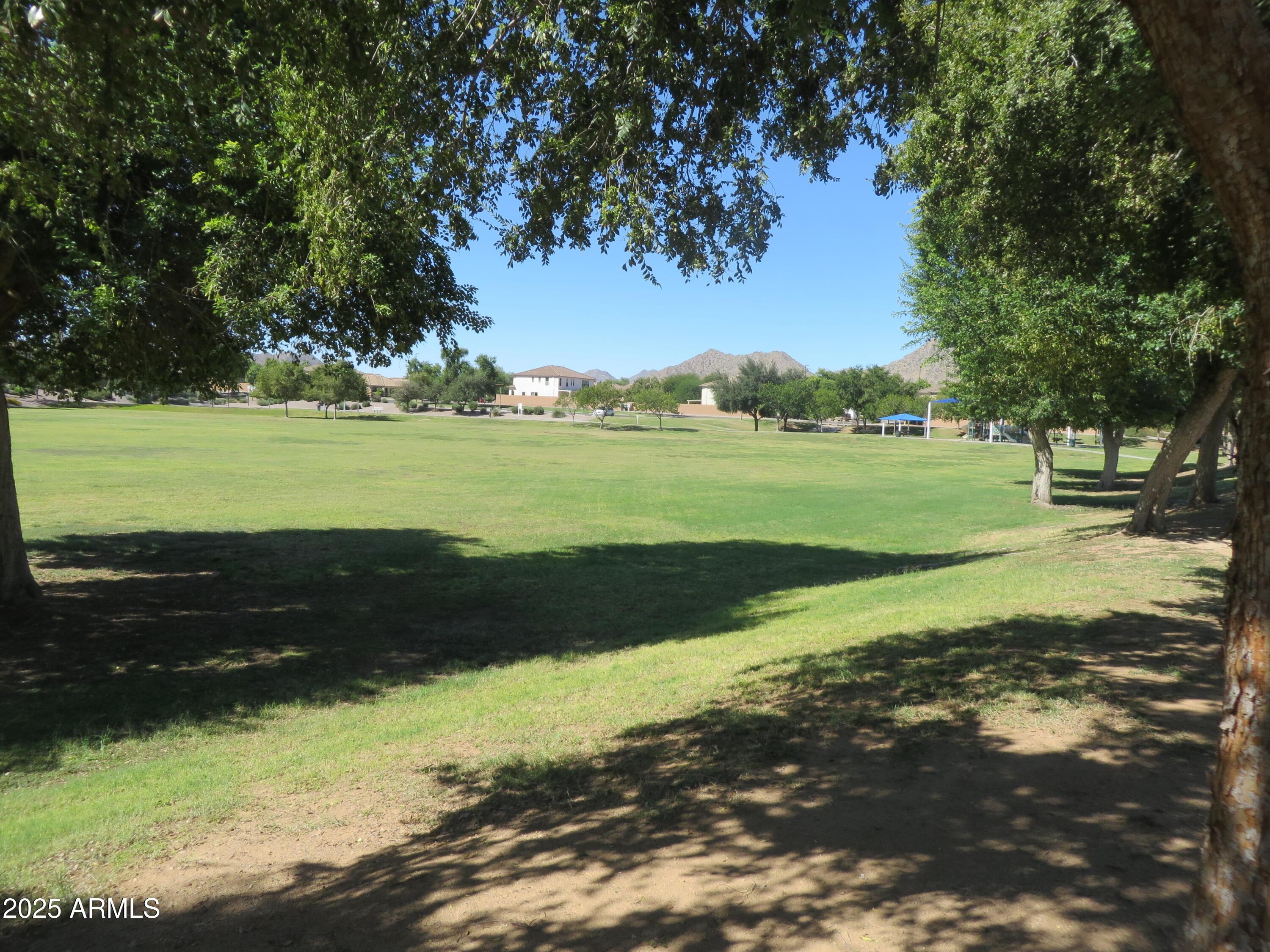 Photo #60