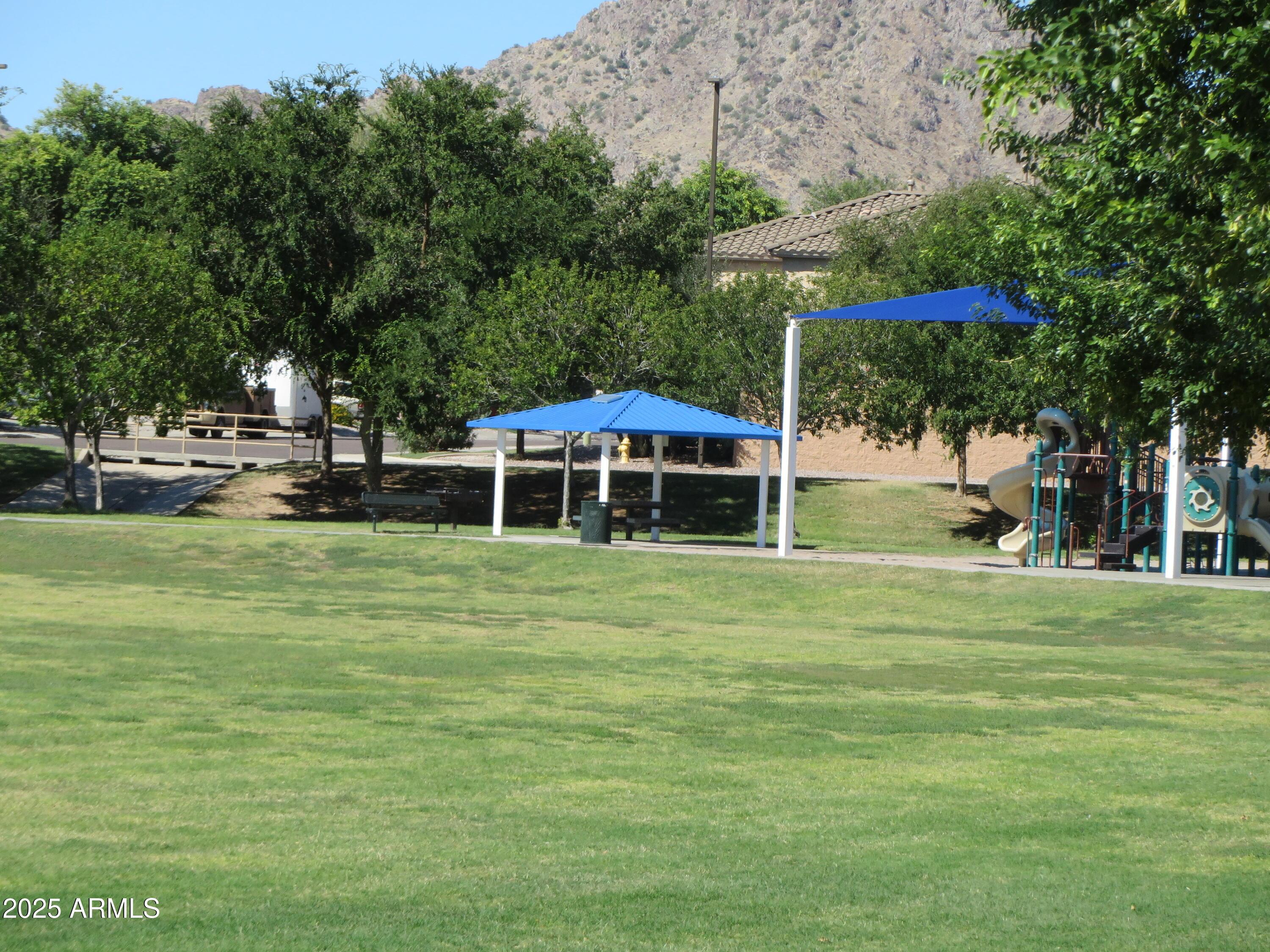 Photo #61