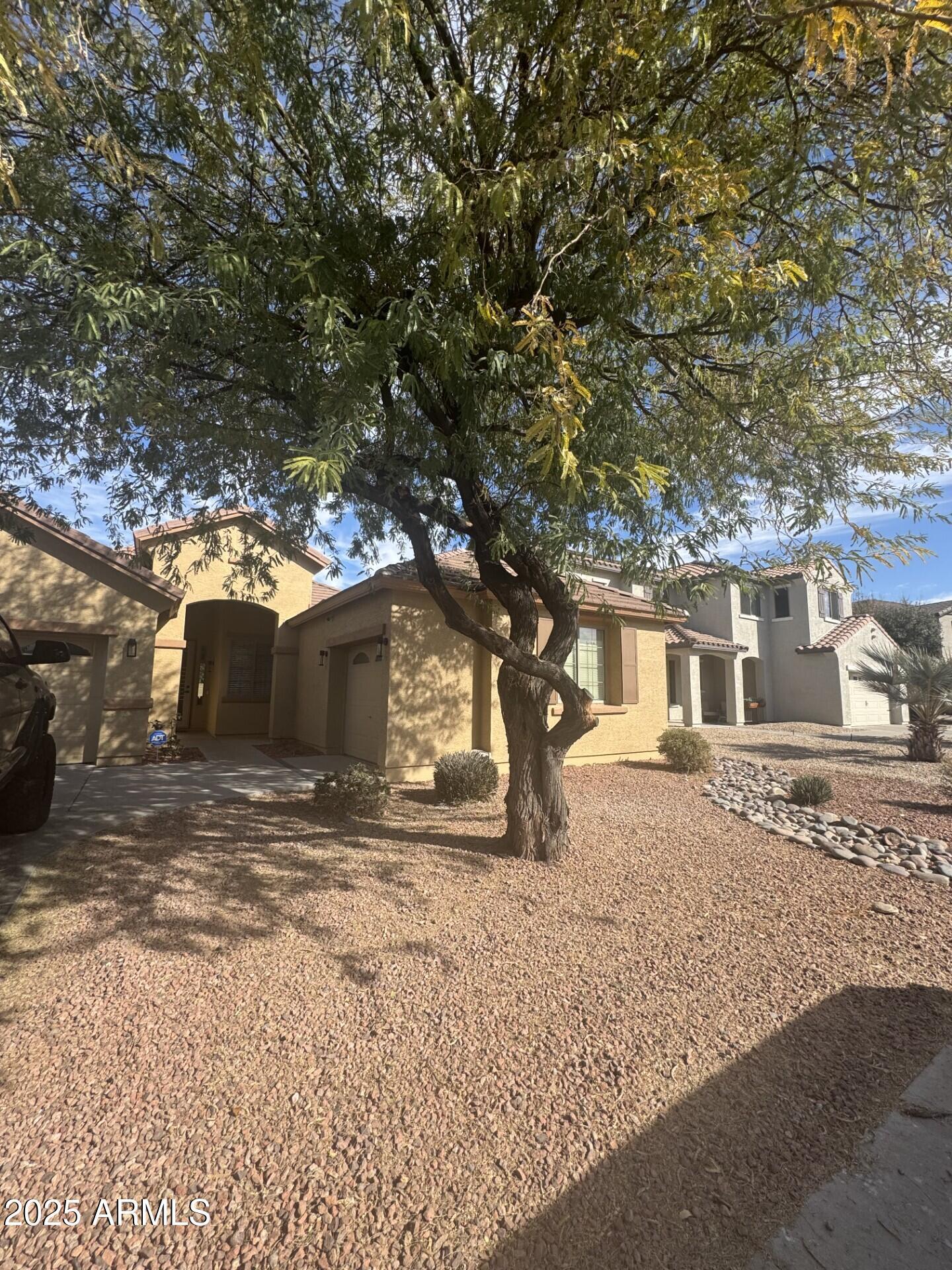 Photo #4