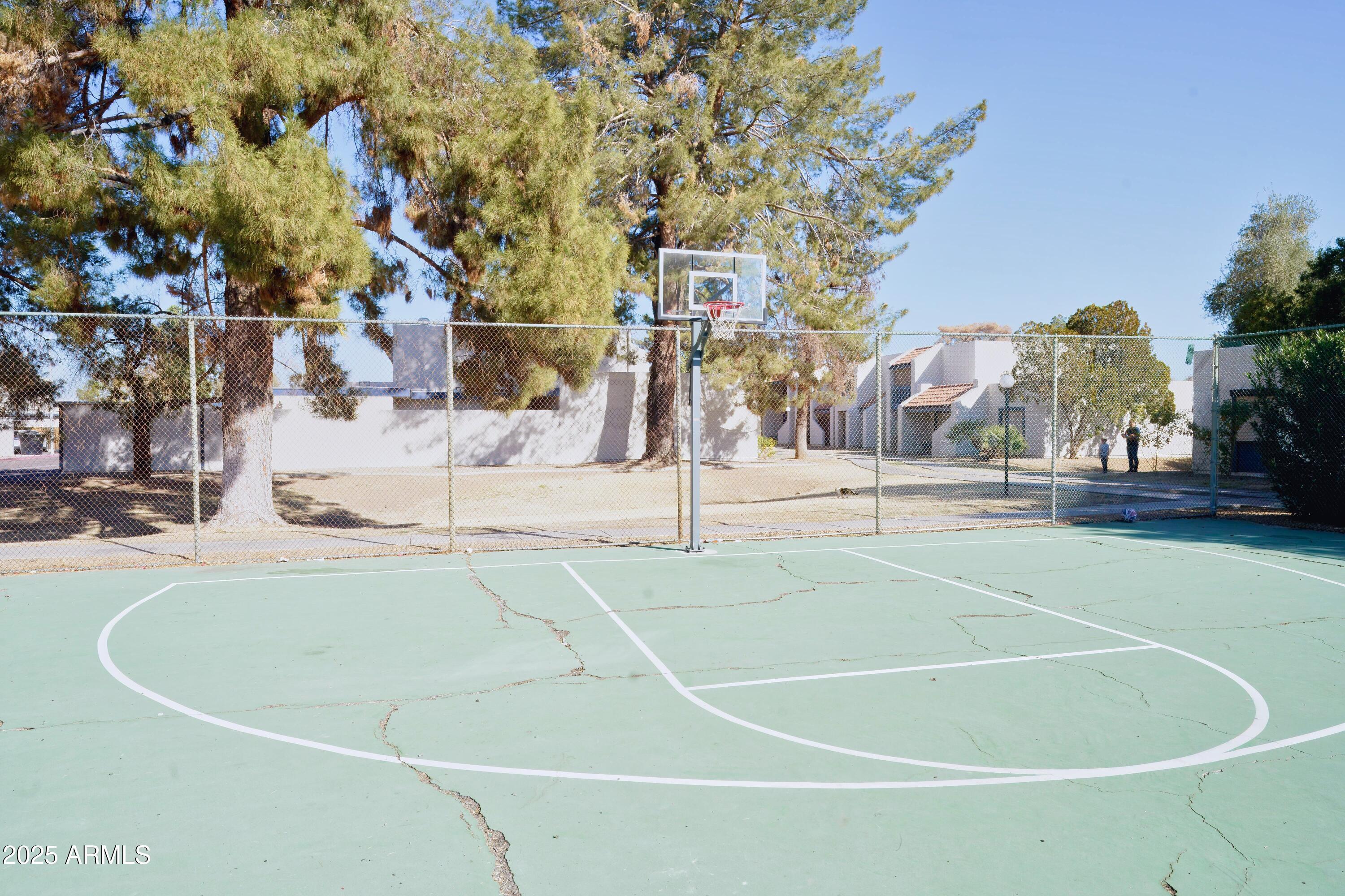 Photo #46