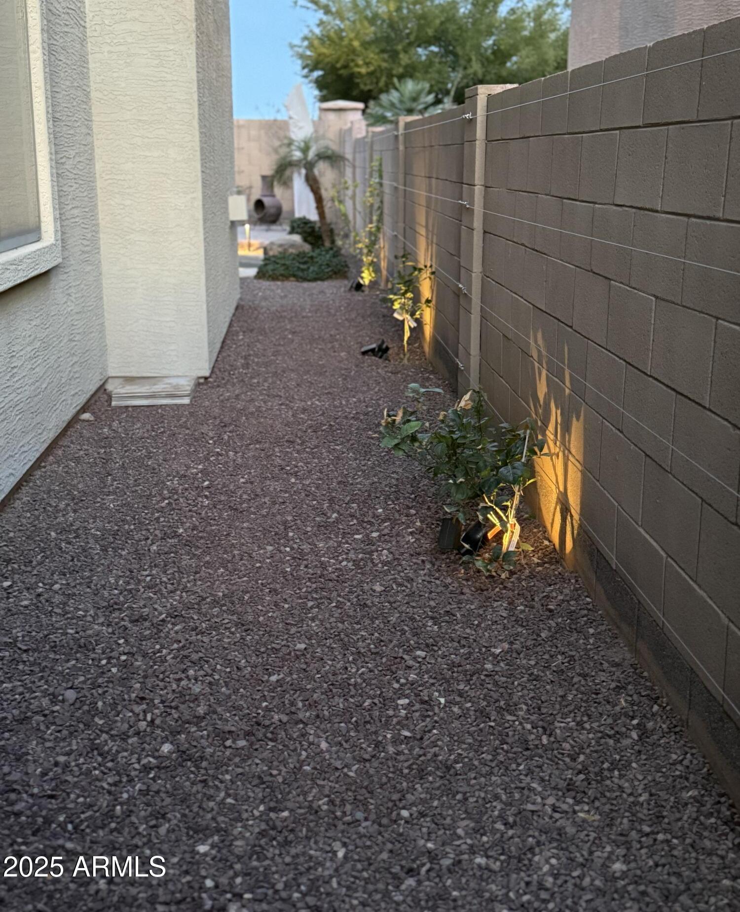Photo #24