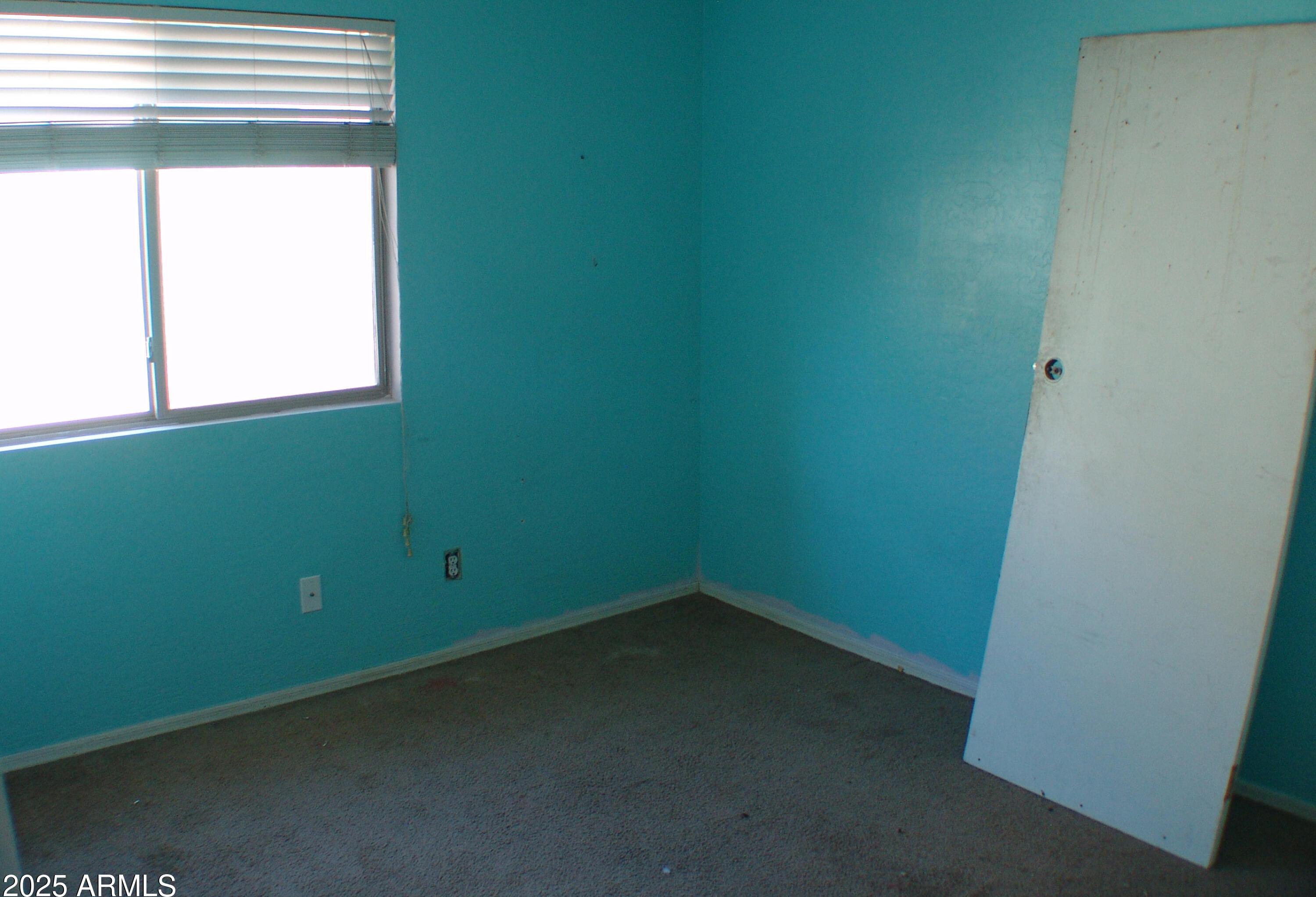 Photo #20