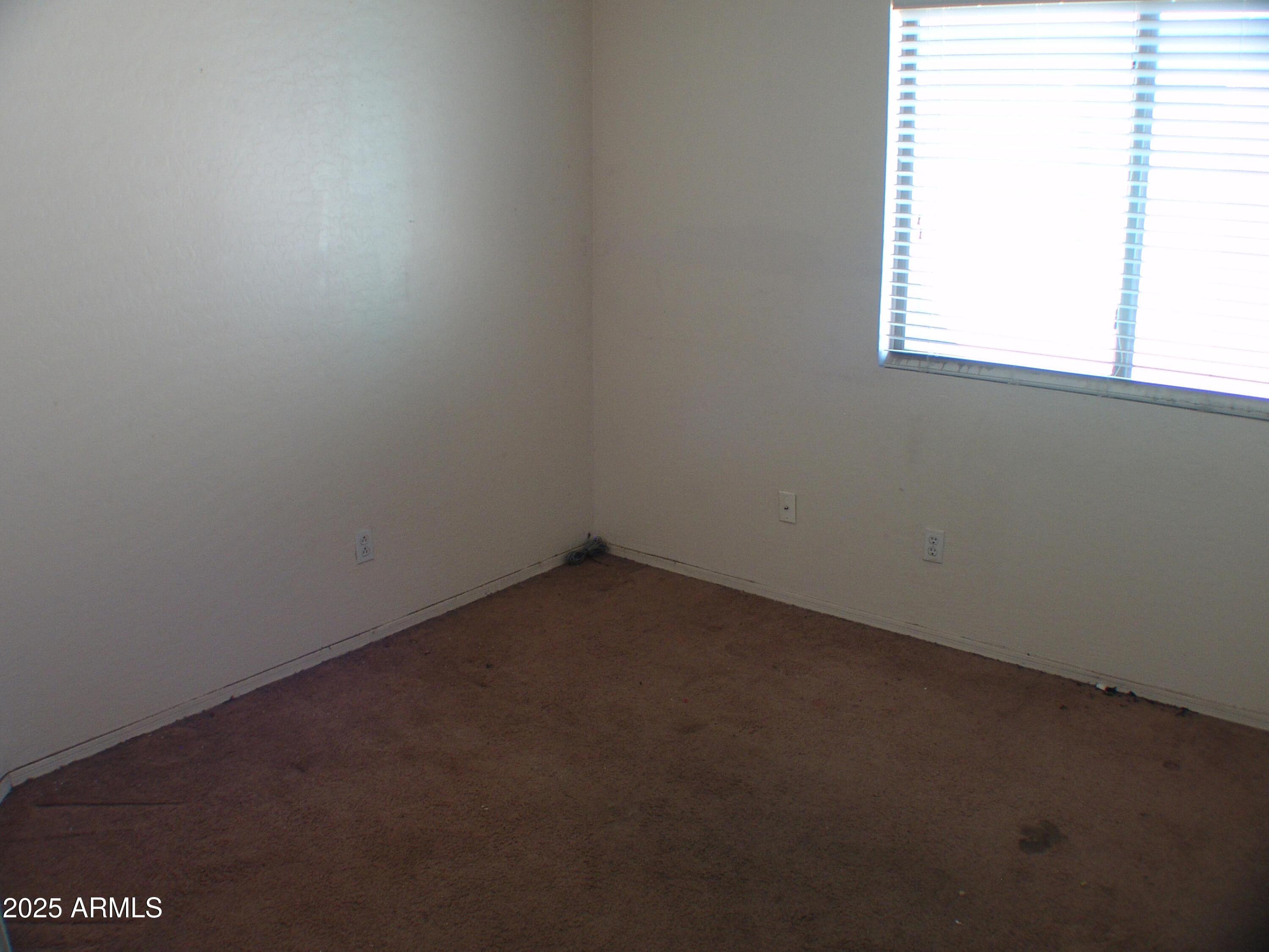 Photo #21