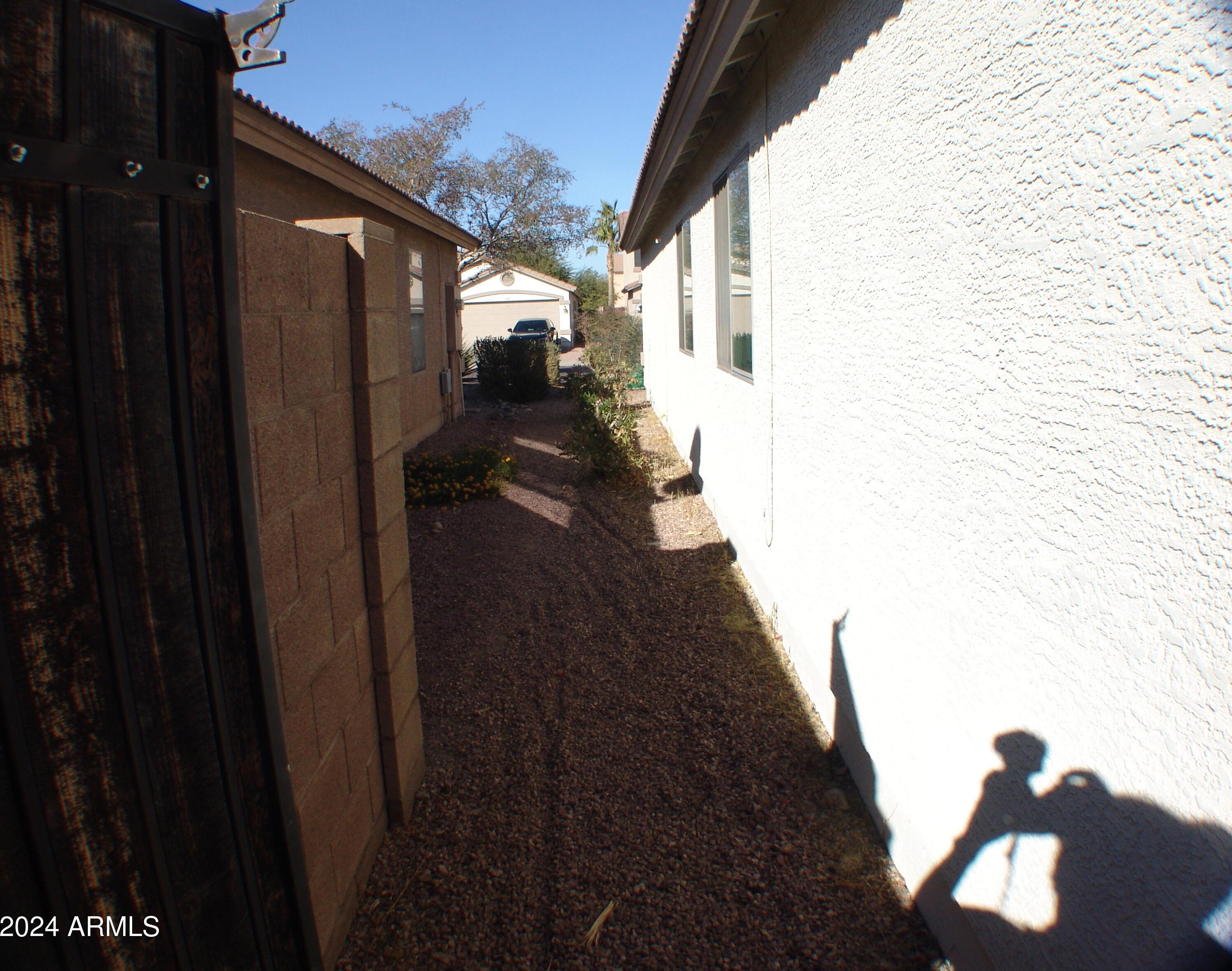 Photo #31