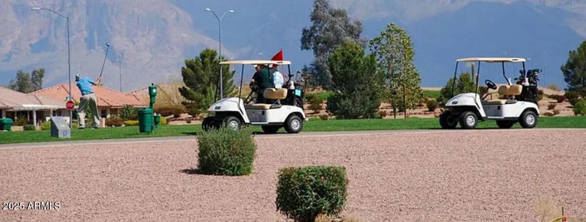 Photo #15