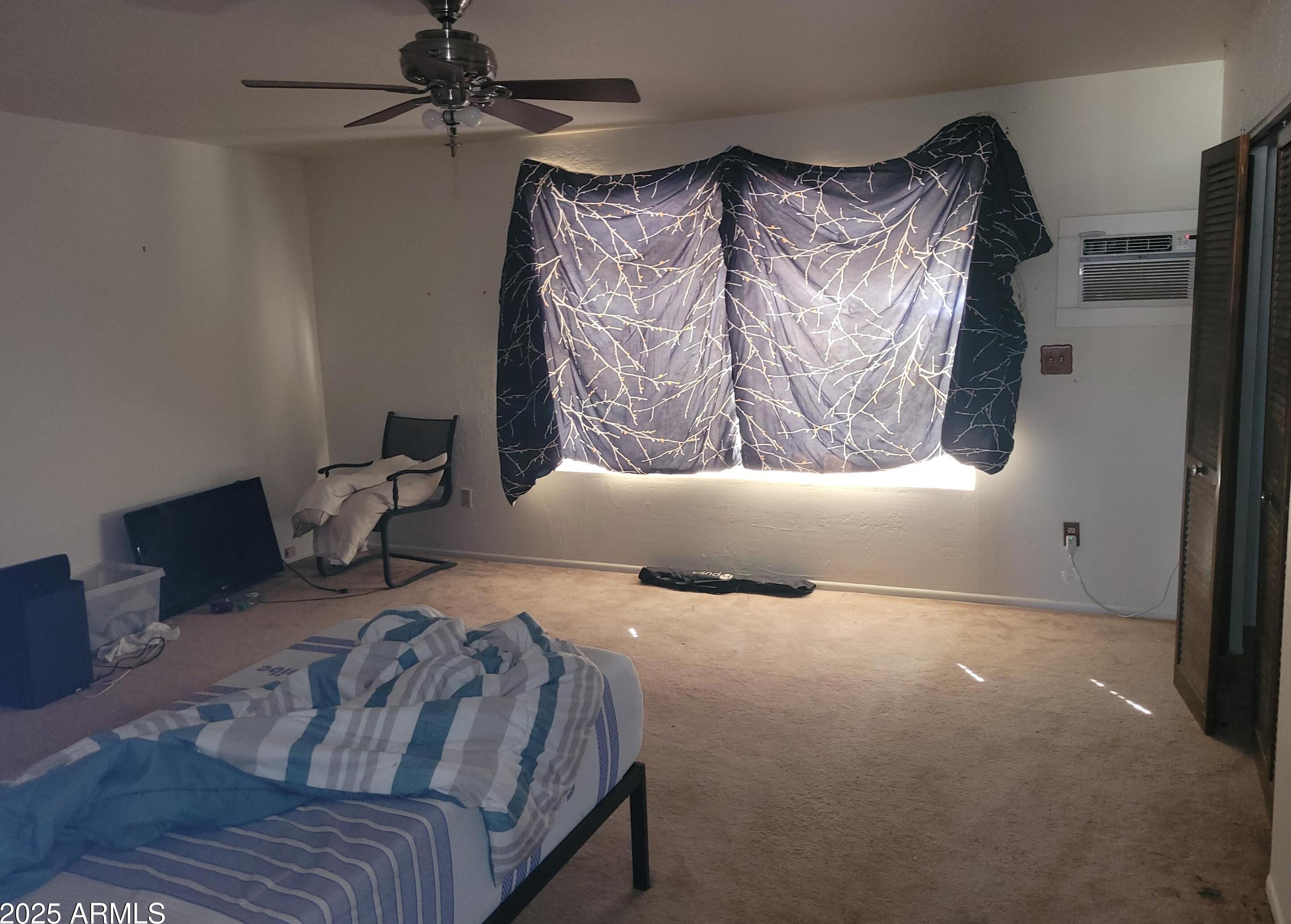 Photo #43