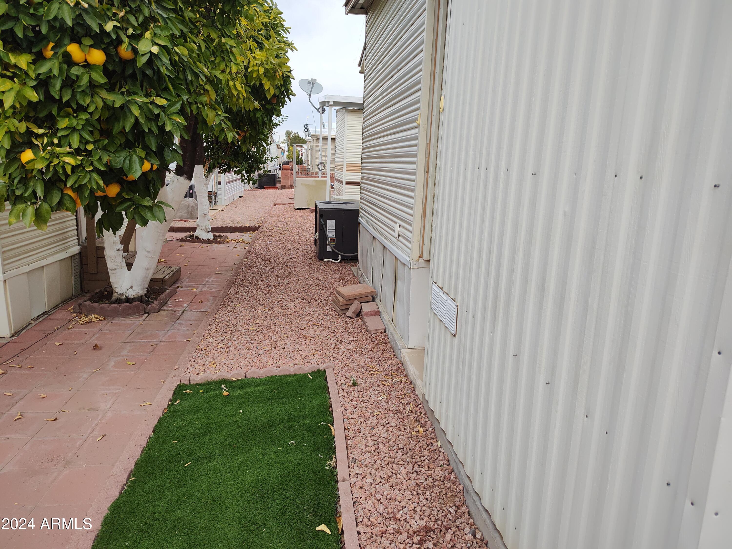 Photo #18
