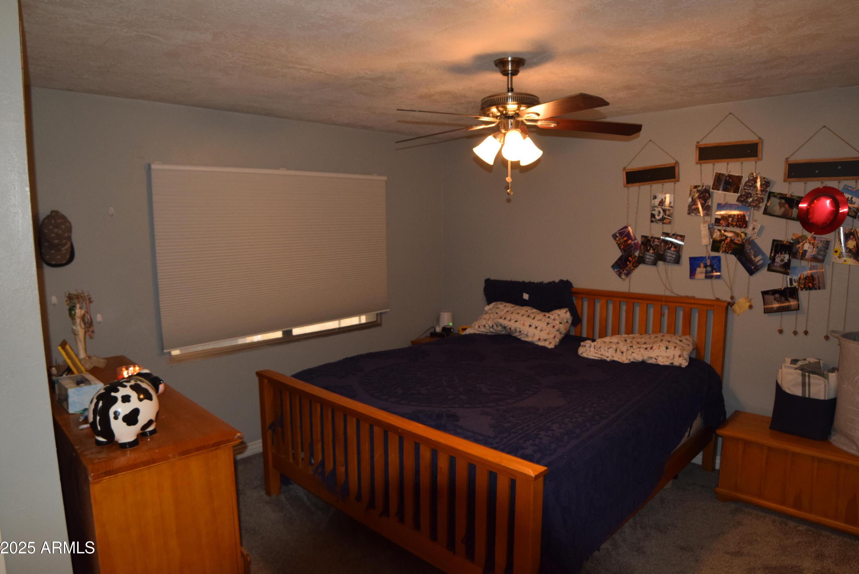 Photo #18