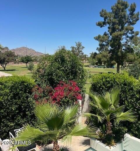 Photo #42