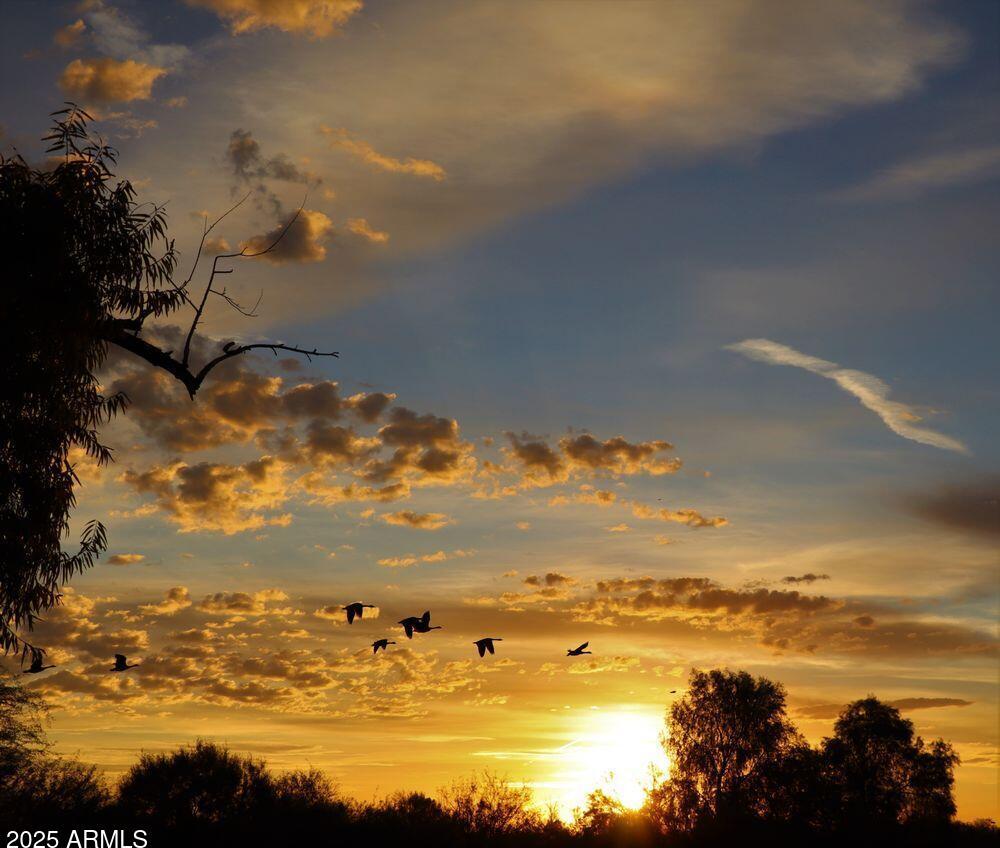 Photo #42