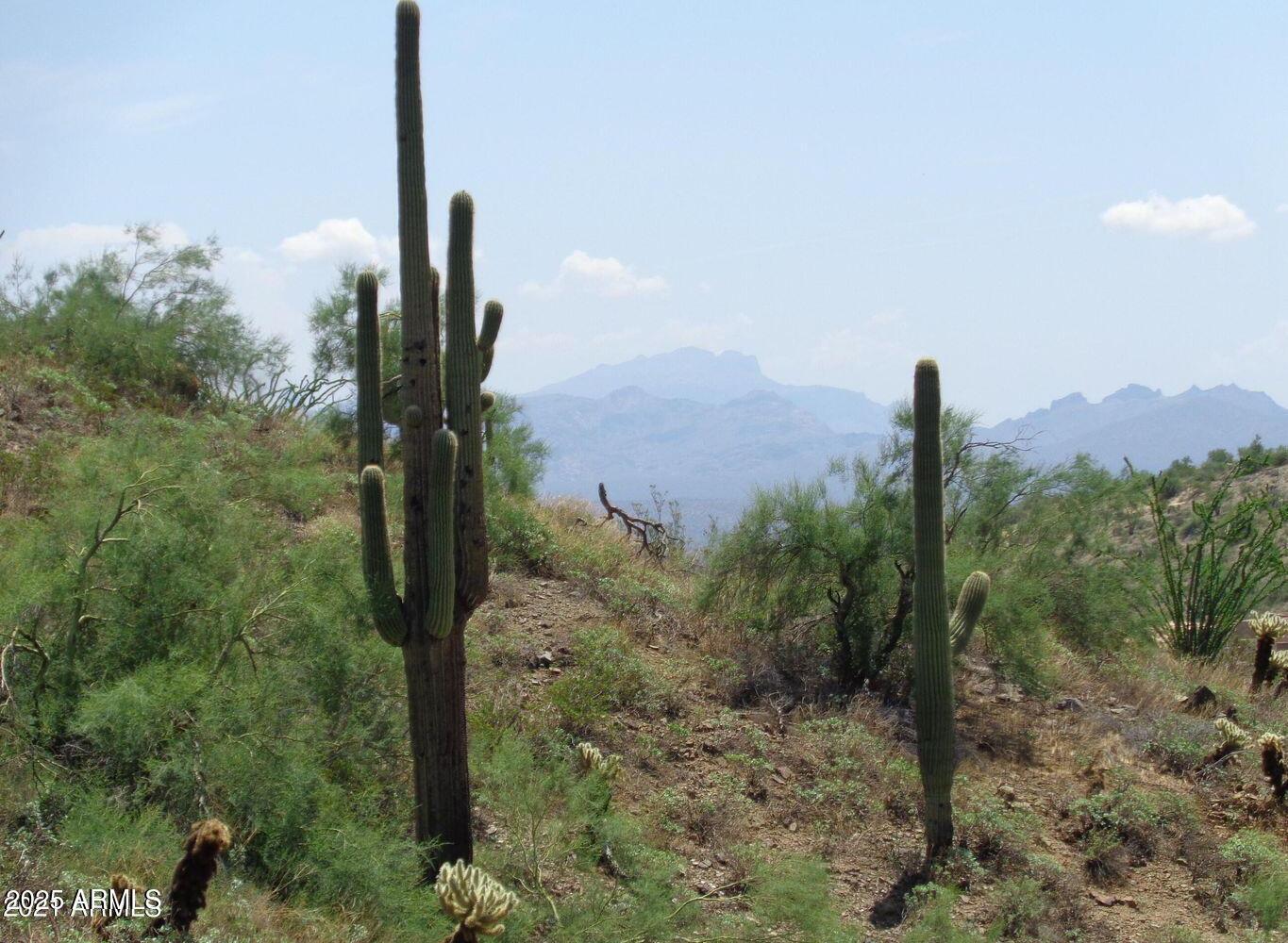 Photo #29