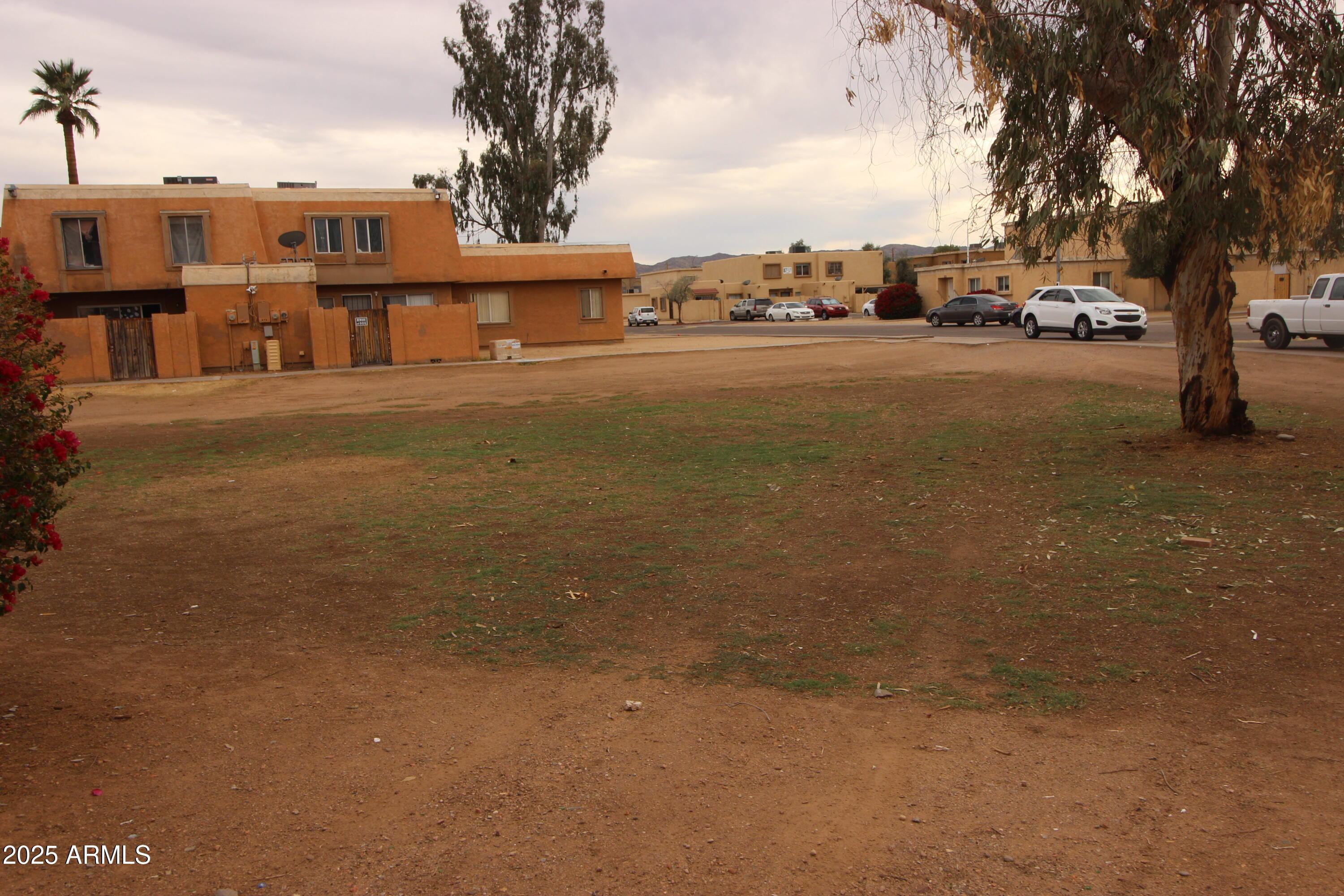 Photo #12