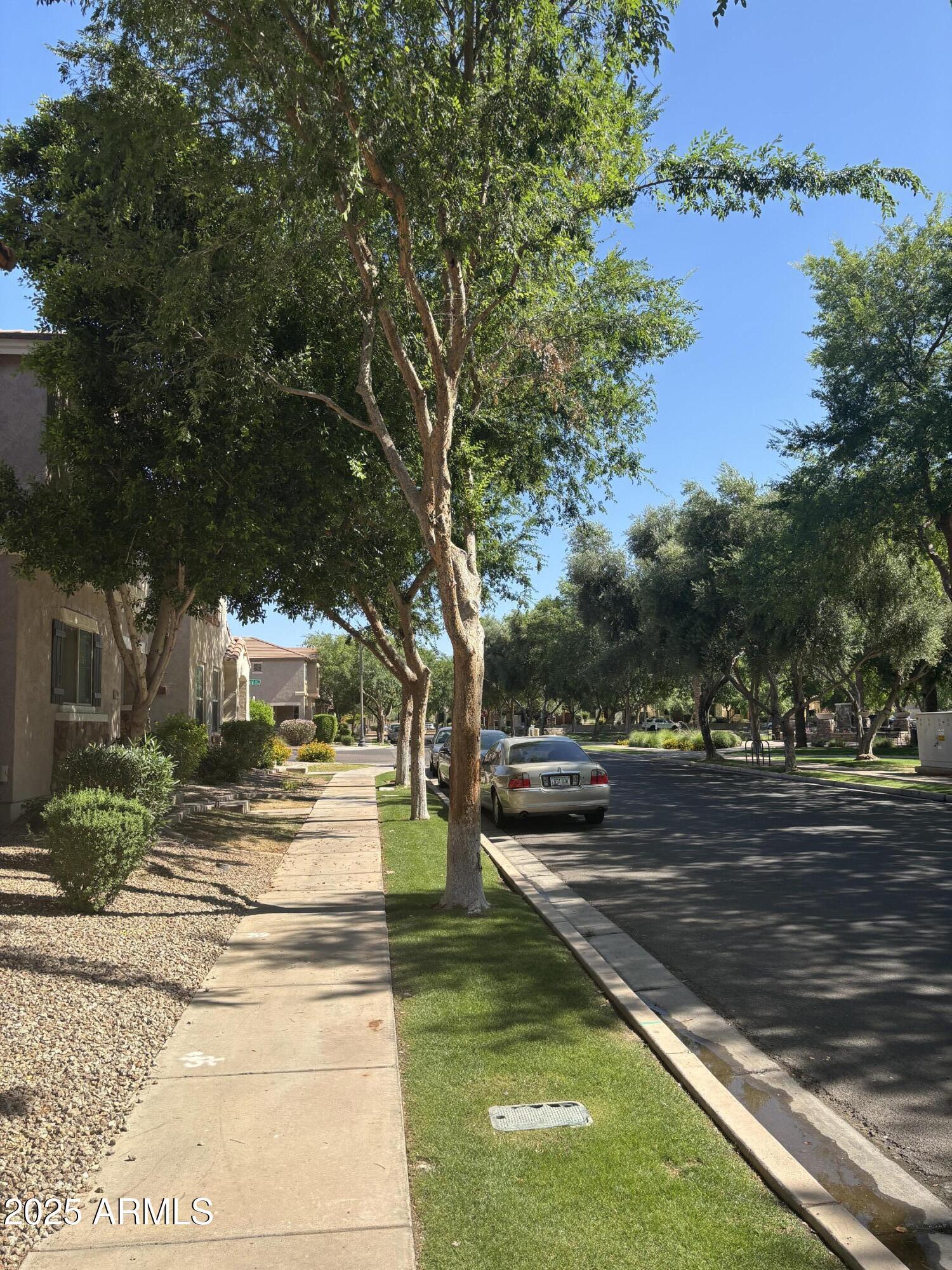 Photo #38