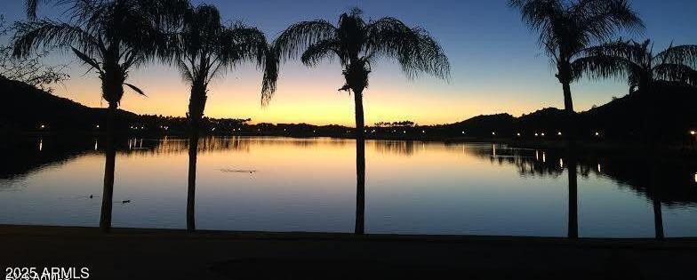 Photo #58