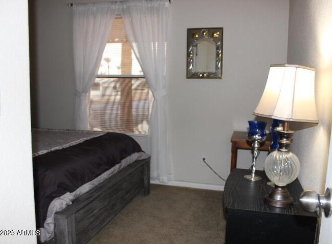 Photo #14
