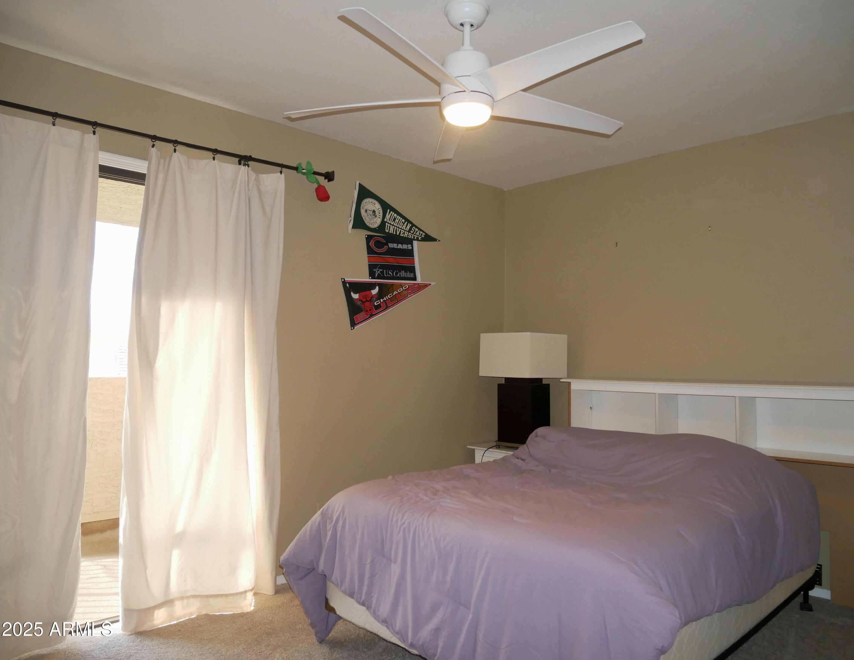 Photo #31
