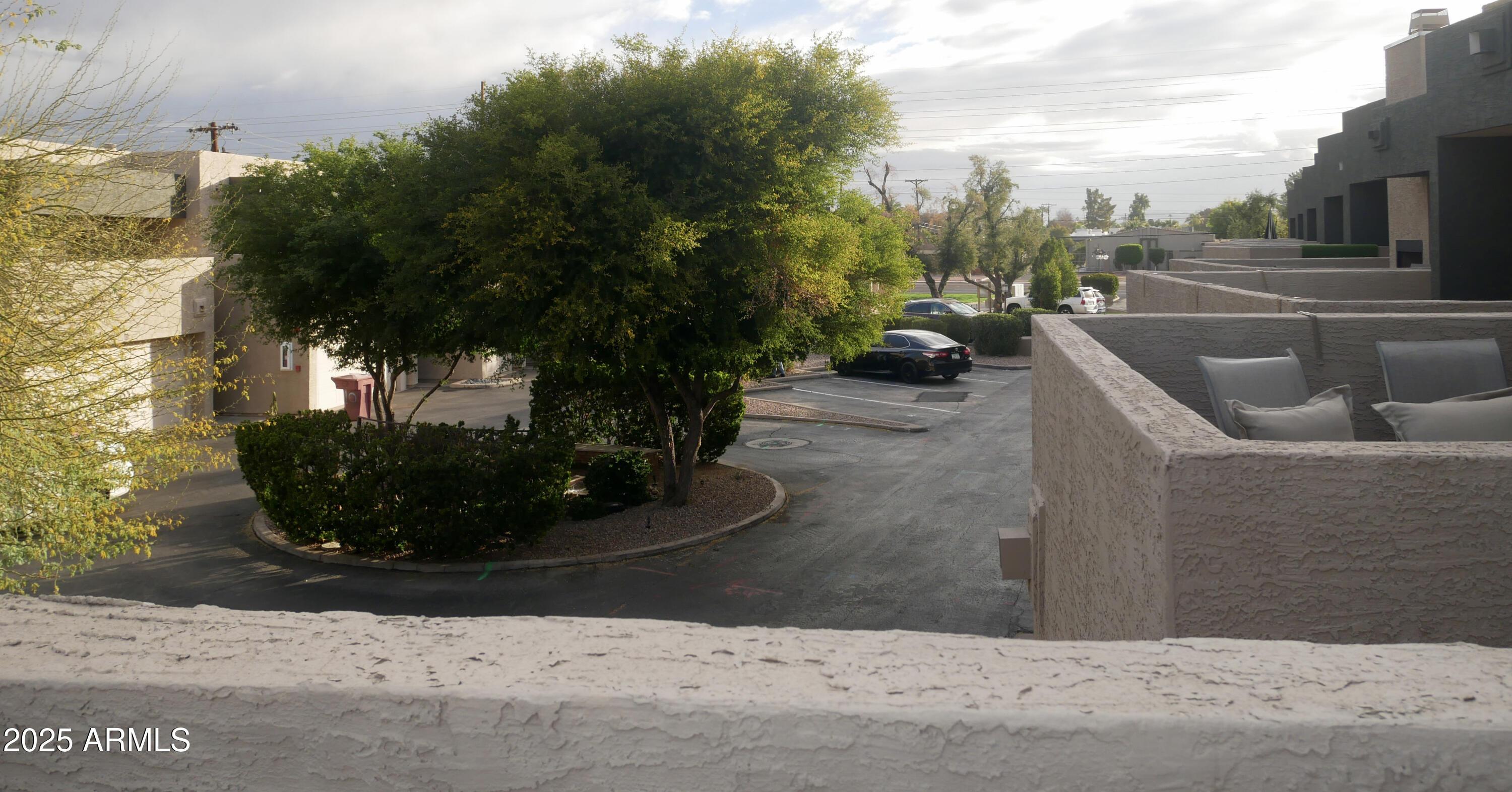 Photo #45