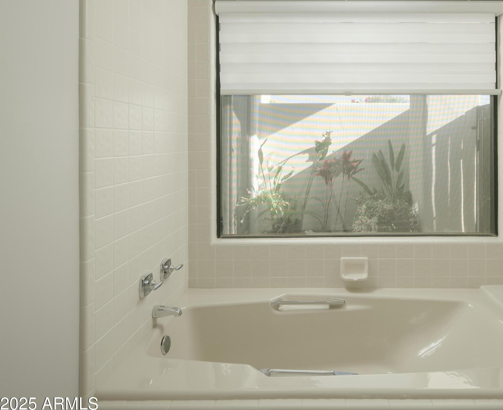 Photo #15