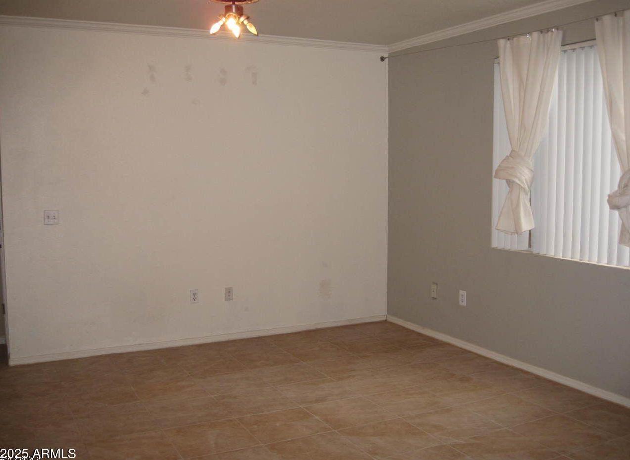 Photo #5