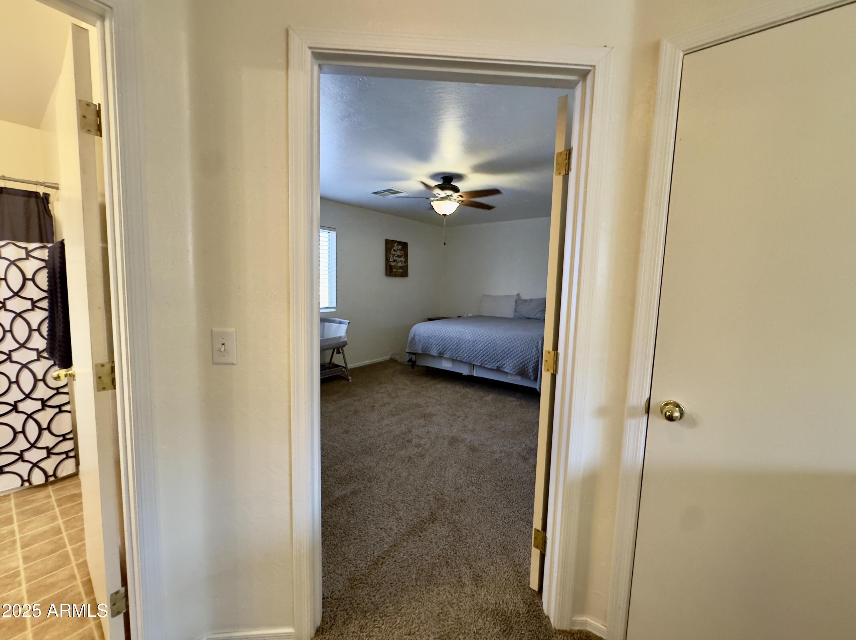 Photo #35