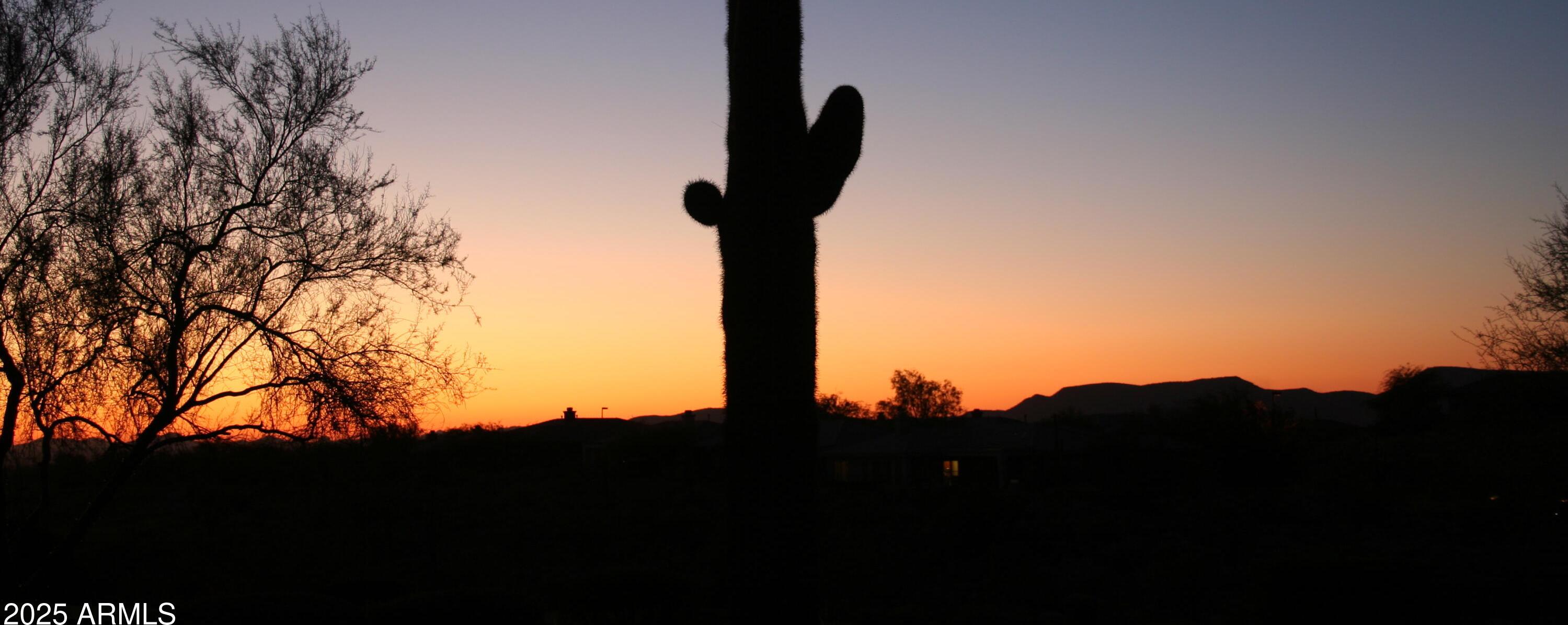 Photo #53
