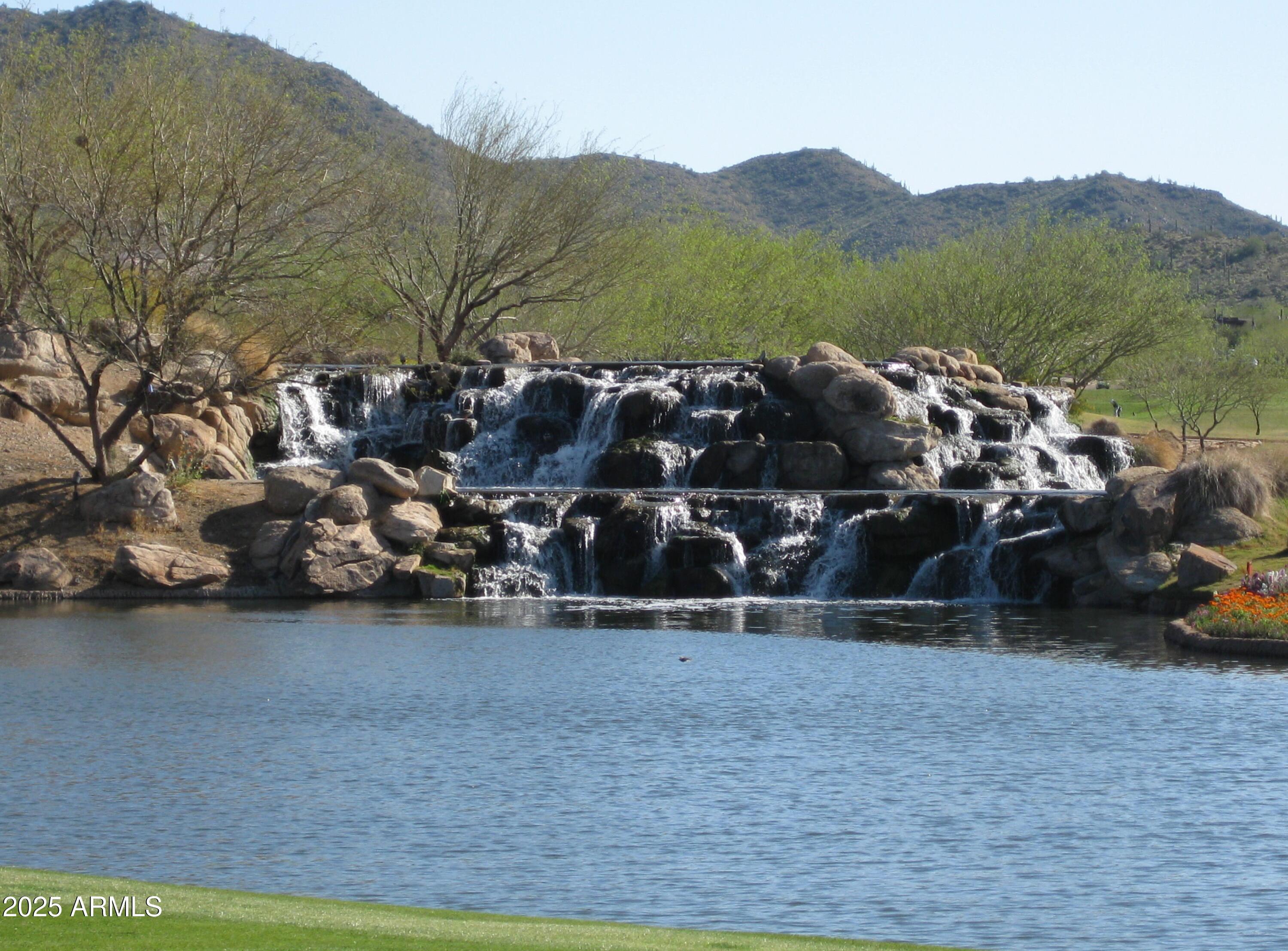 Photo #41