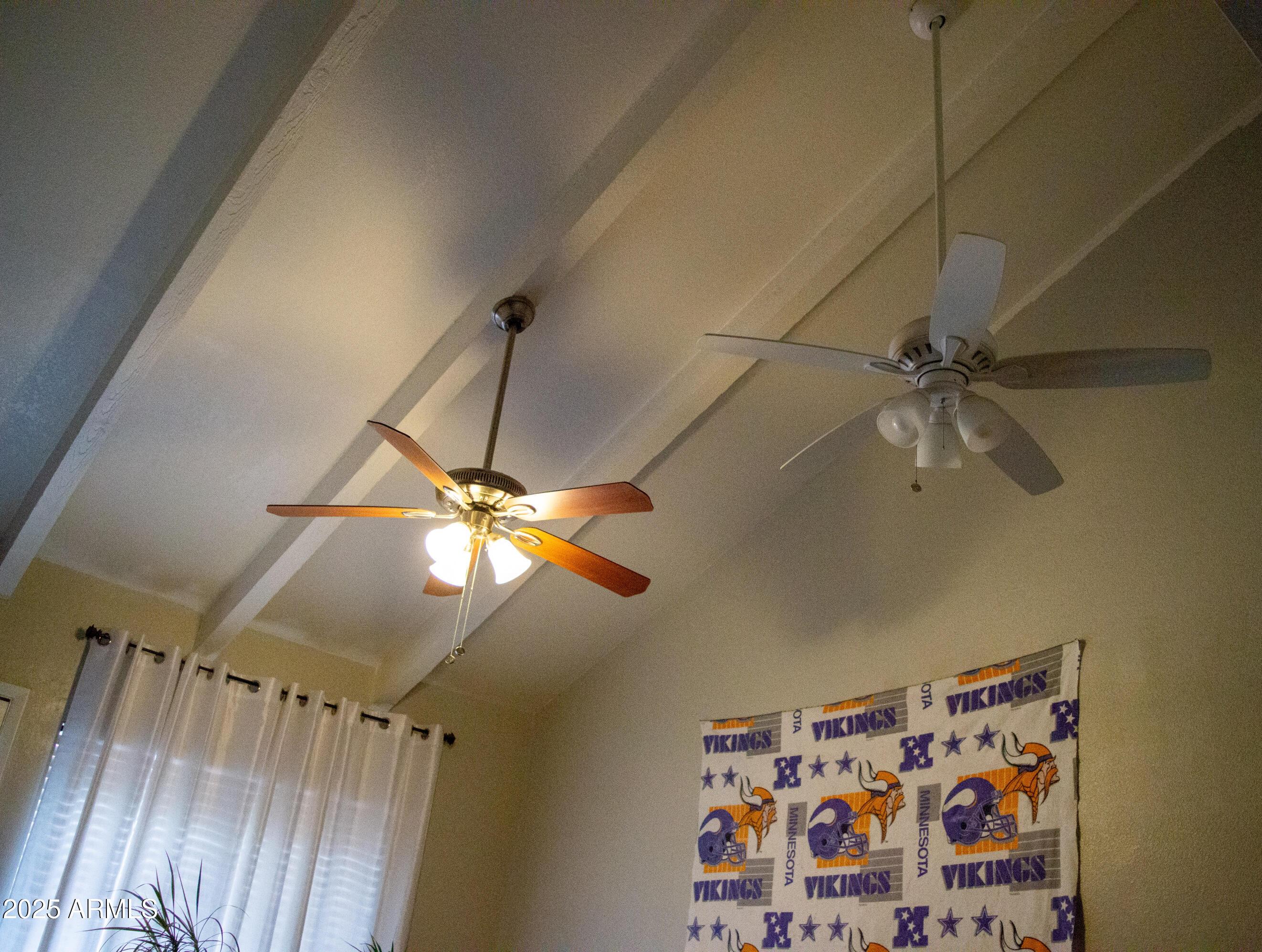 Photo #5