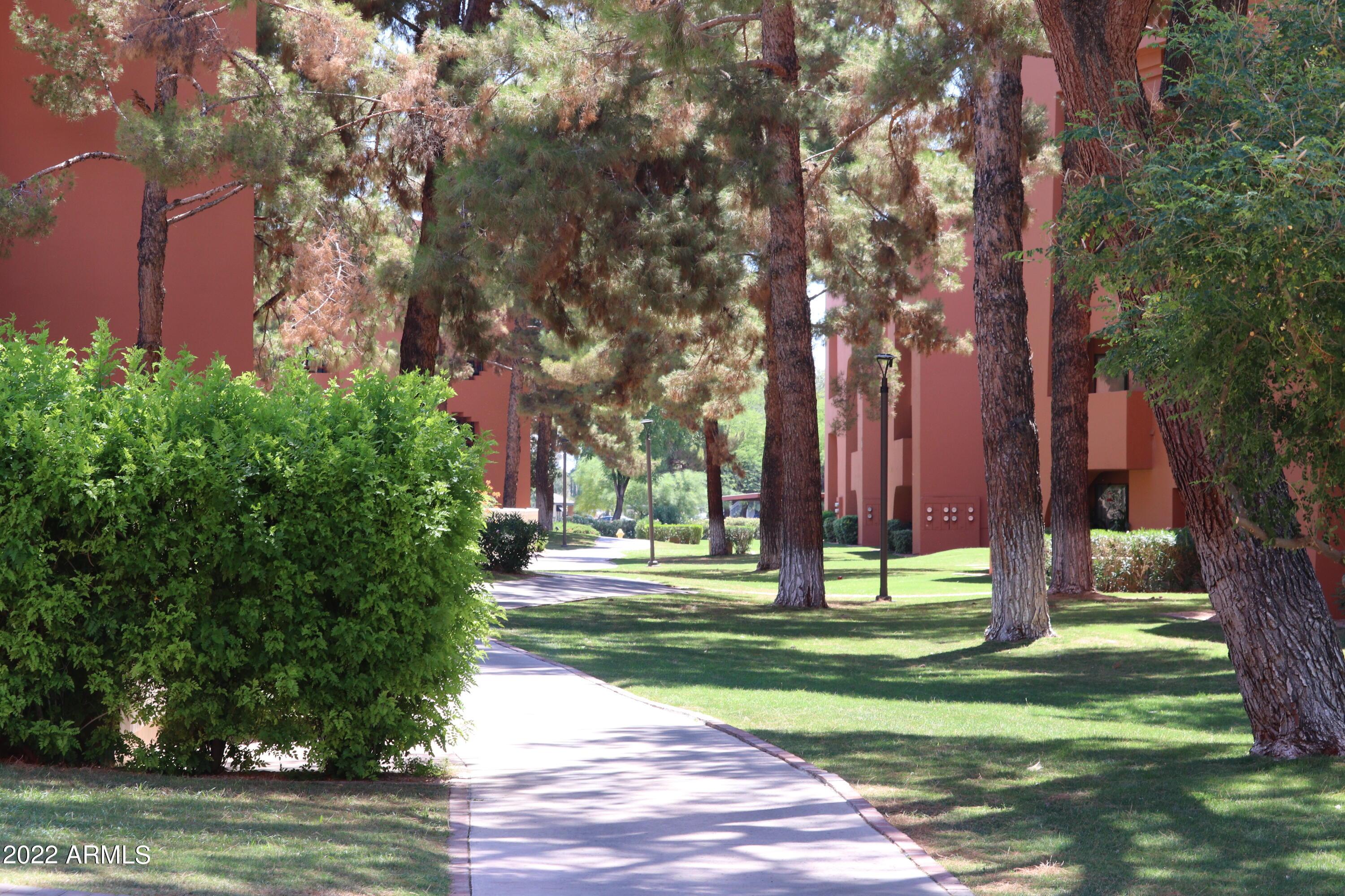 Photo #31