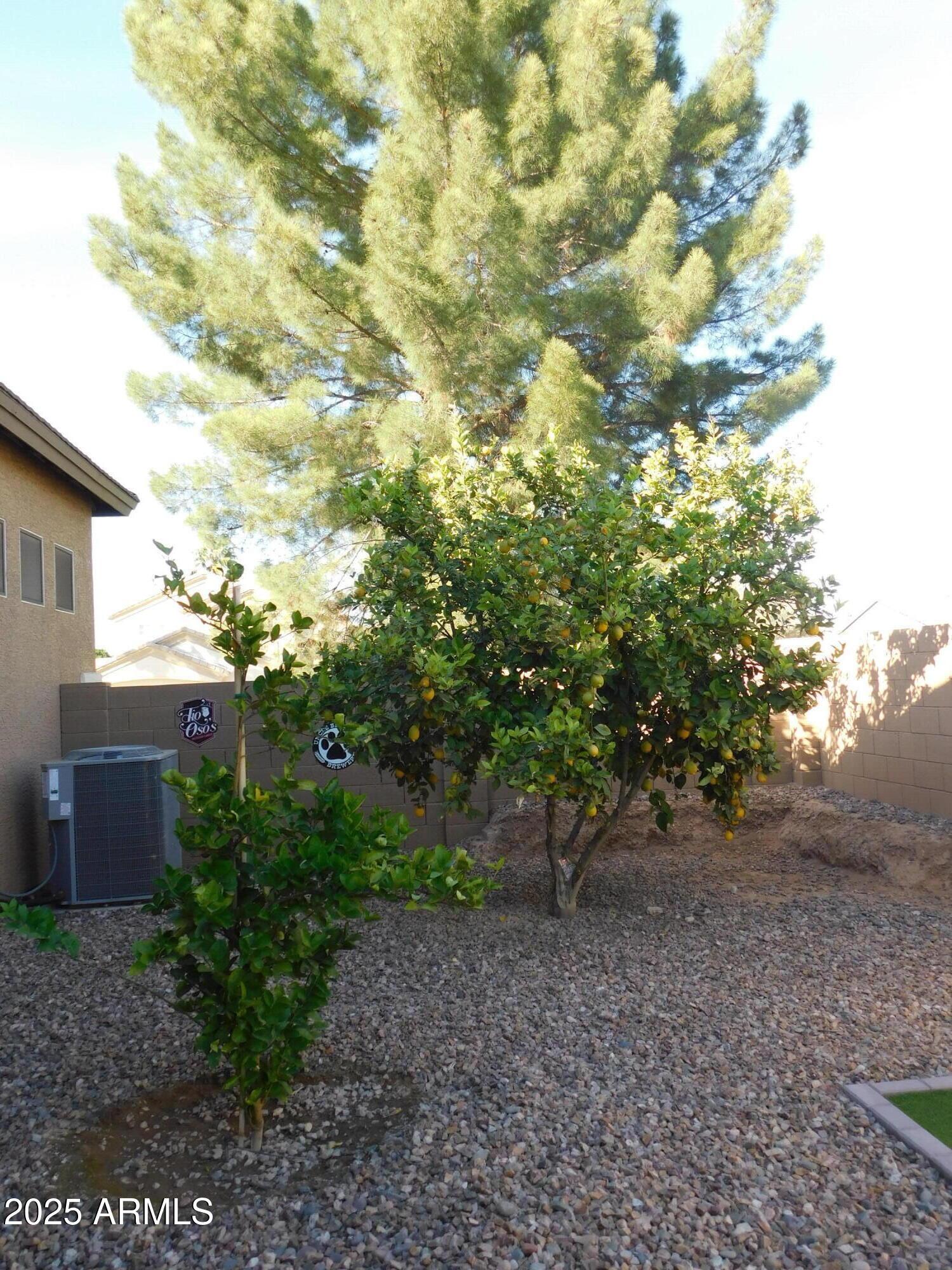 Photo #37