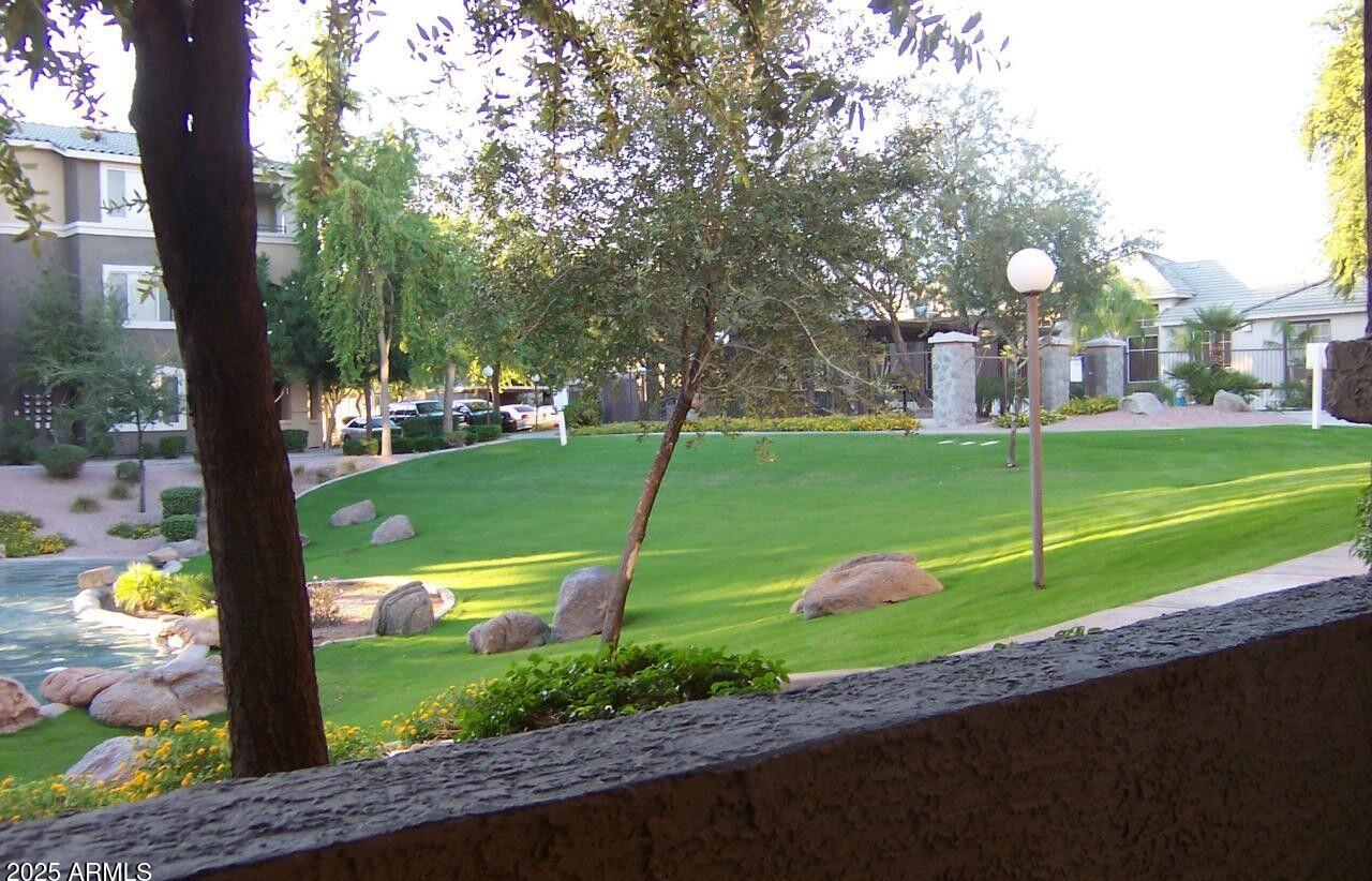 Photo #6