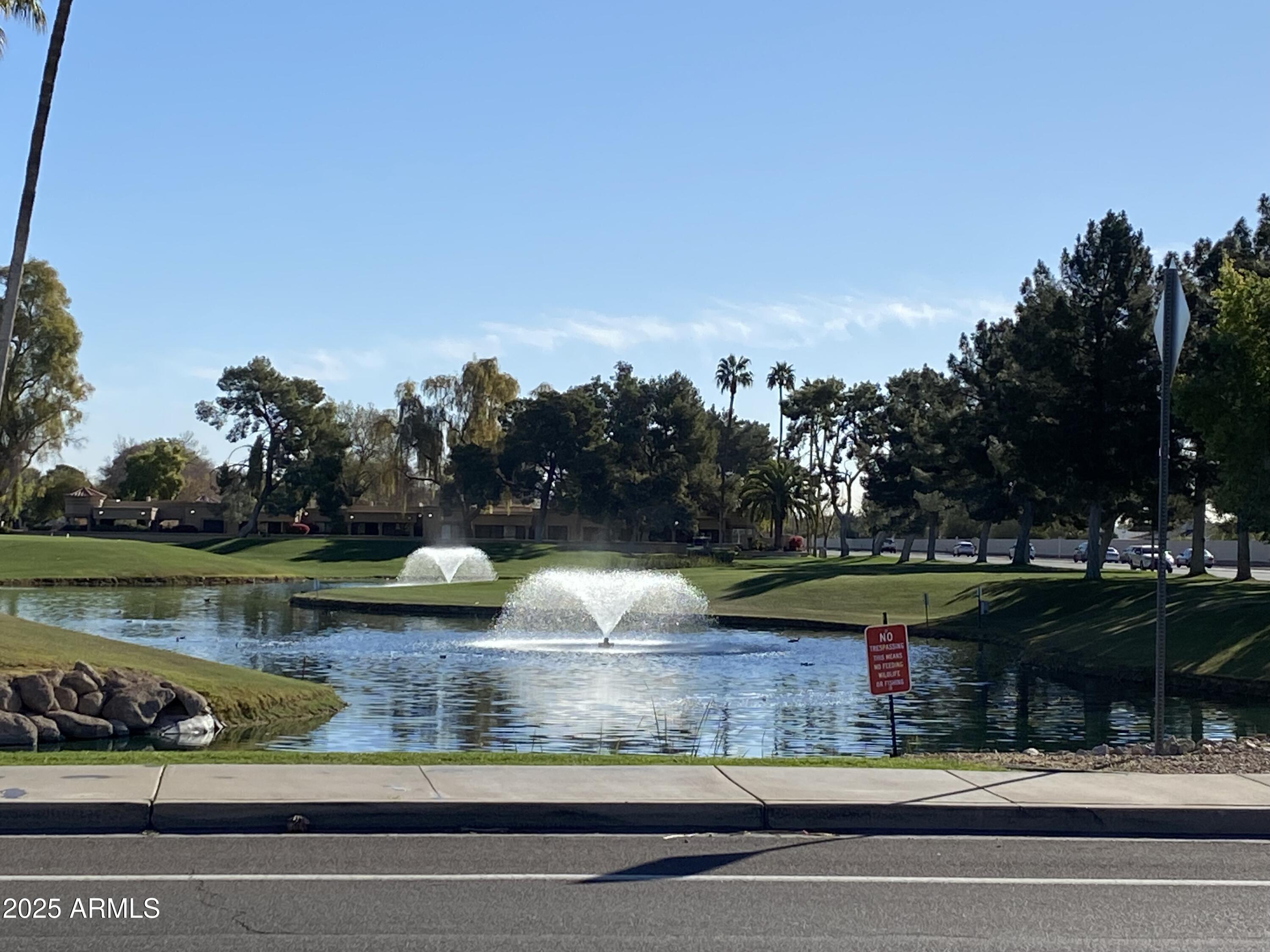 Photo #45
