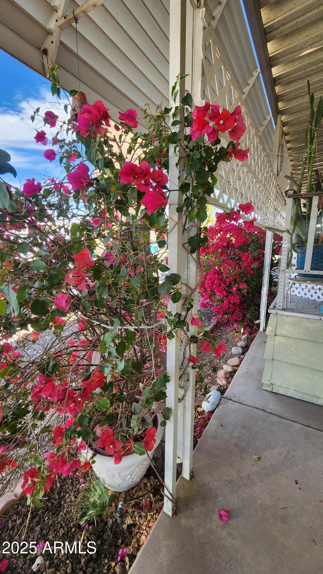 Photo #4
